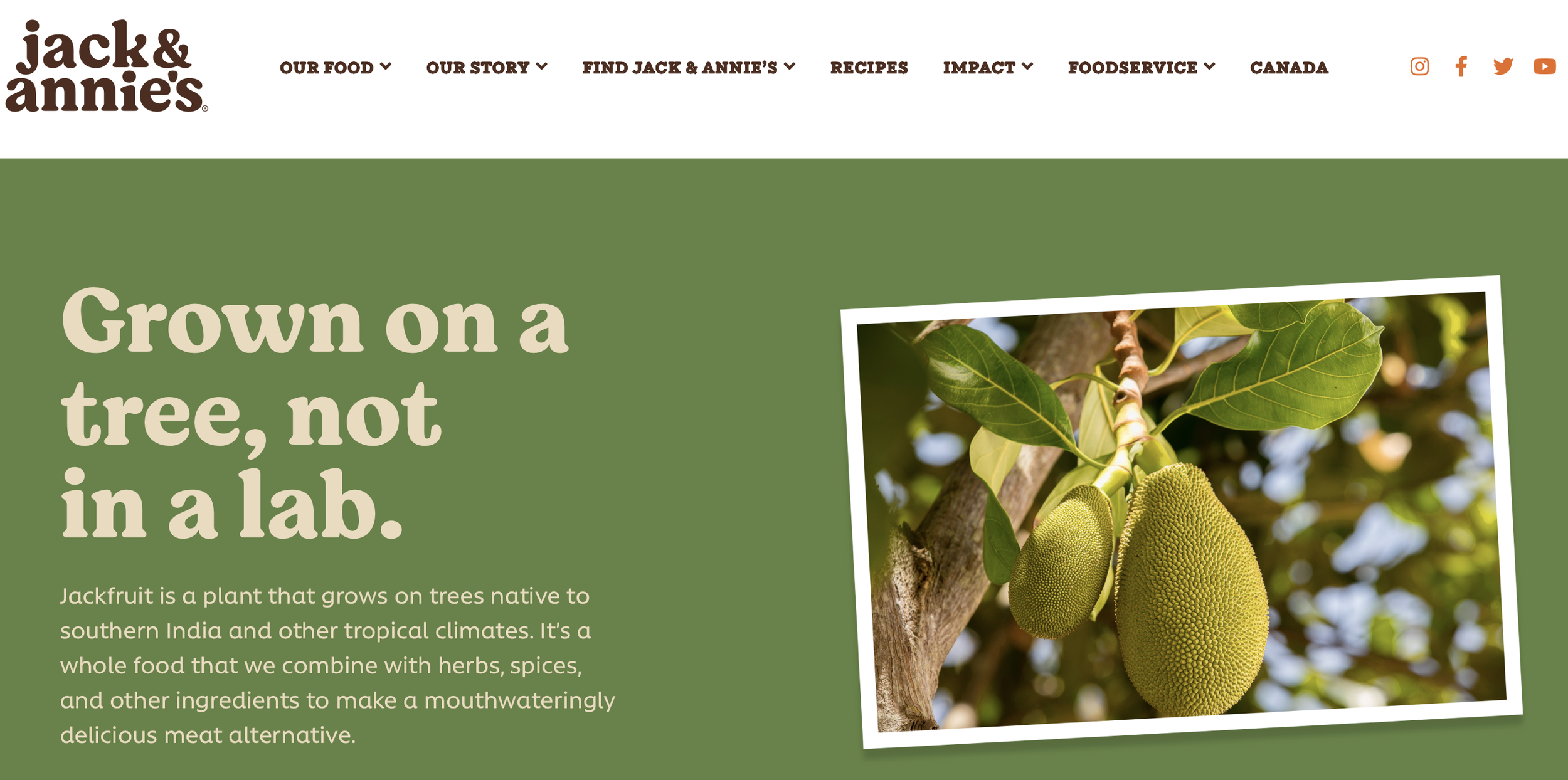 site2.png