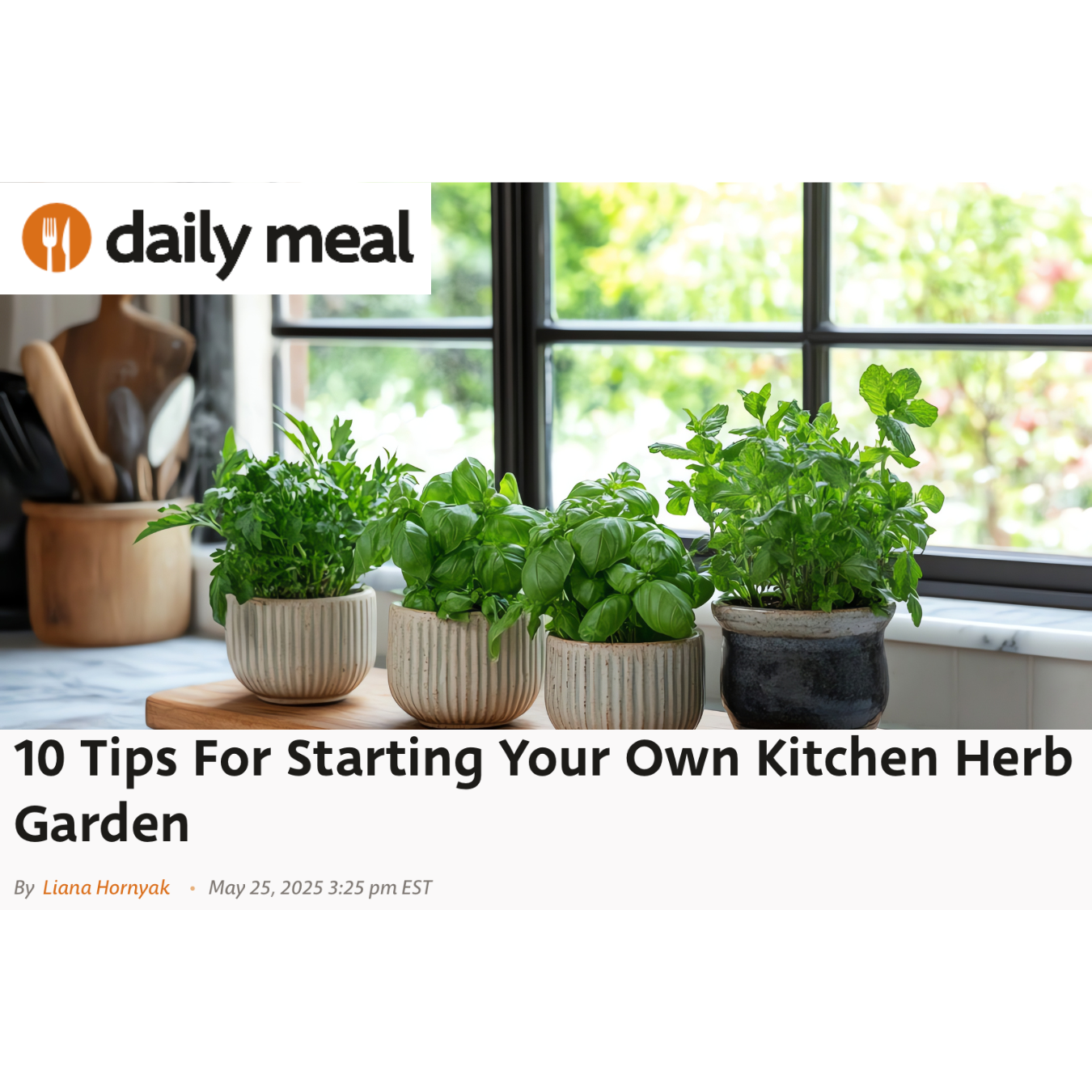 "10 Tips For Starting Your Own Kitchen Herb Garden" editorial feature for the Daily Meal
