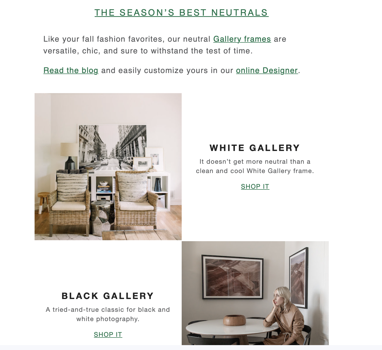 Screenshot 2023-08-09 at 12.48.19 PM.png