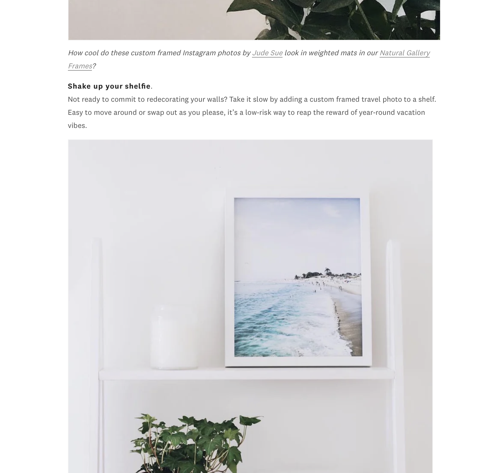 Screenshot 2023-08-09 at 12.49.51 PM.png