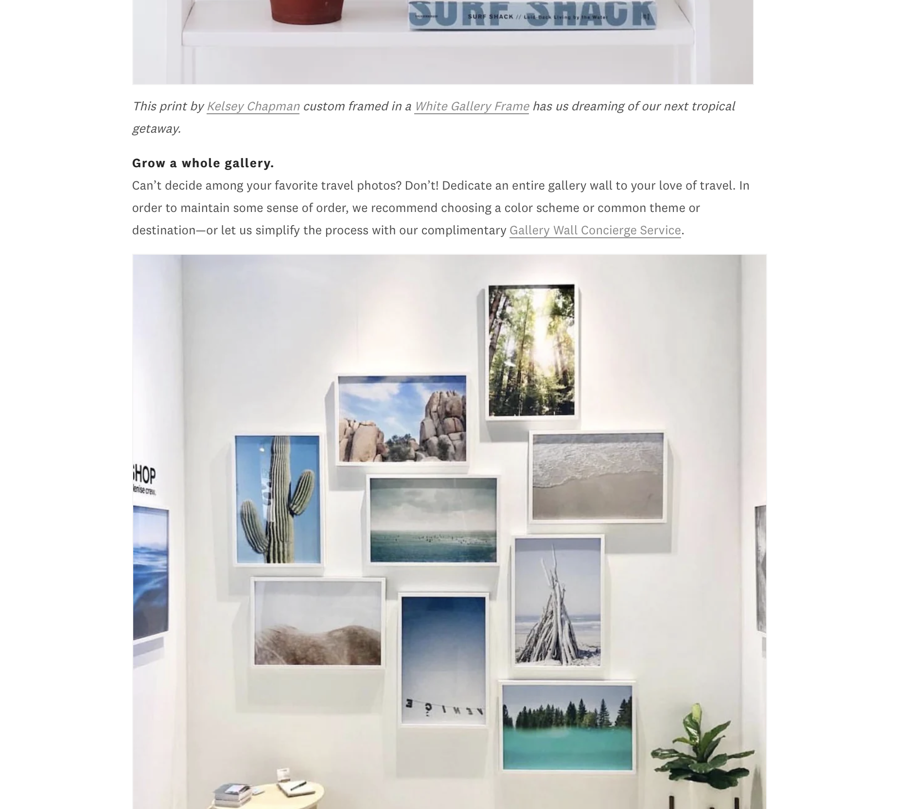 Screenshot 2023-08-09 at 12.50.01 PM.png