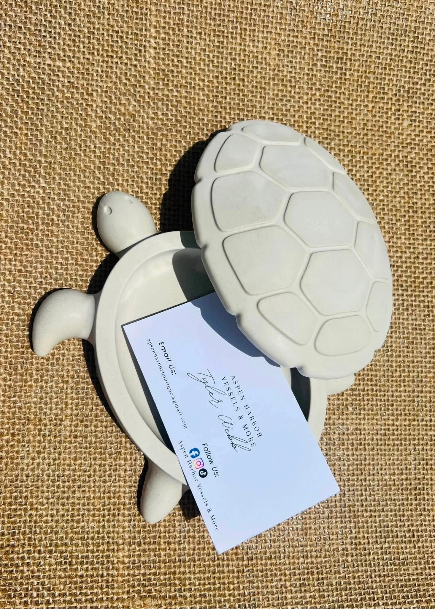 Treasure Turtle Box