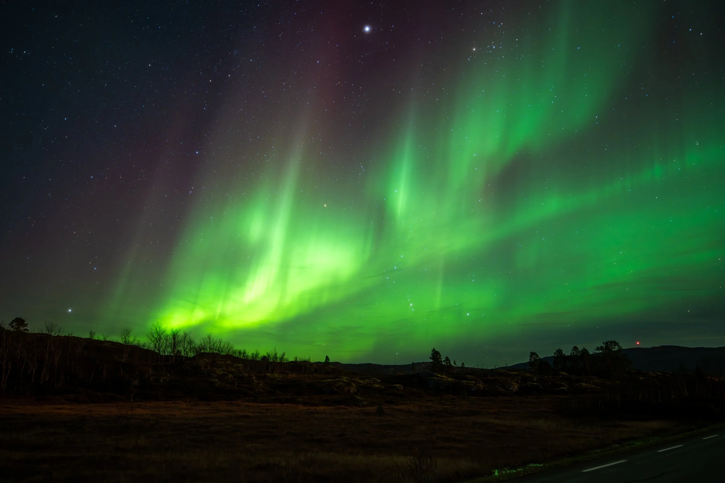 Nordlichter leuchten grün am klaren Nachthimmel über einer ländlichen Landschaft mit Bäumen und Hügeln.