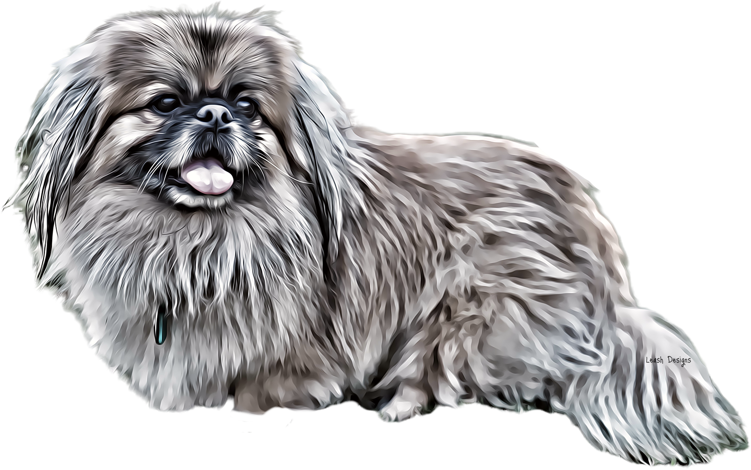 Illustration of dog