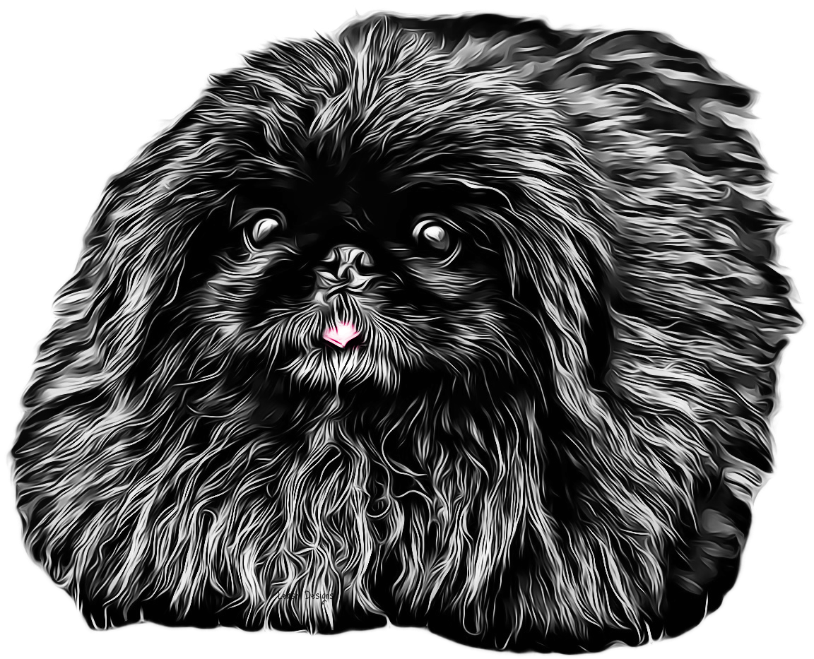 Illustration of dog