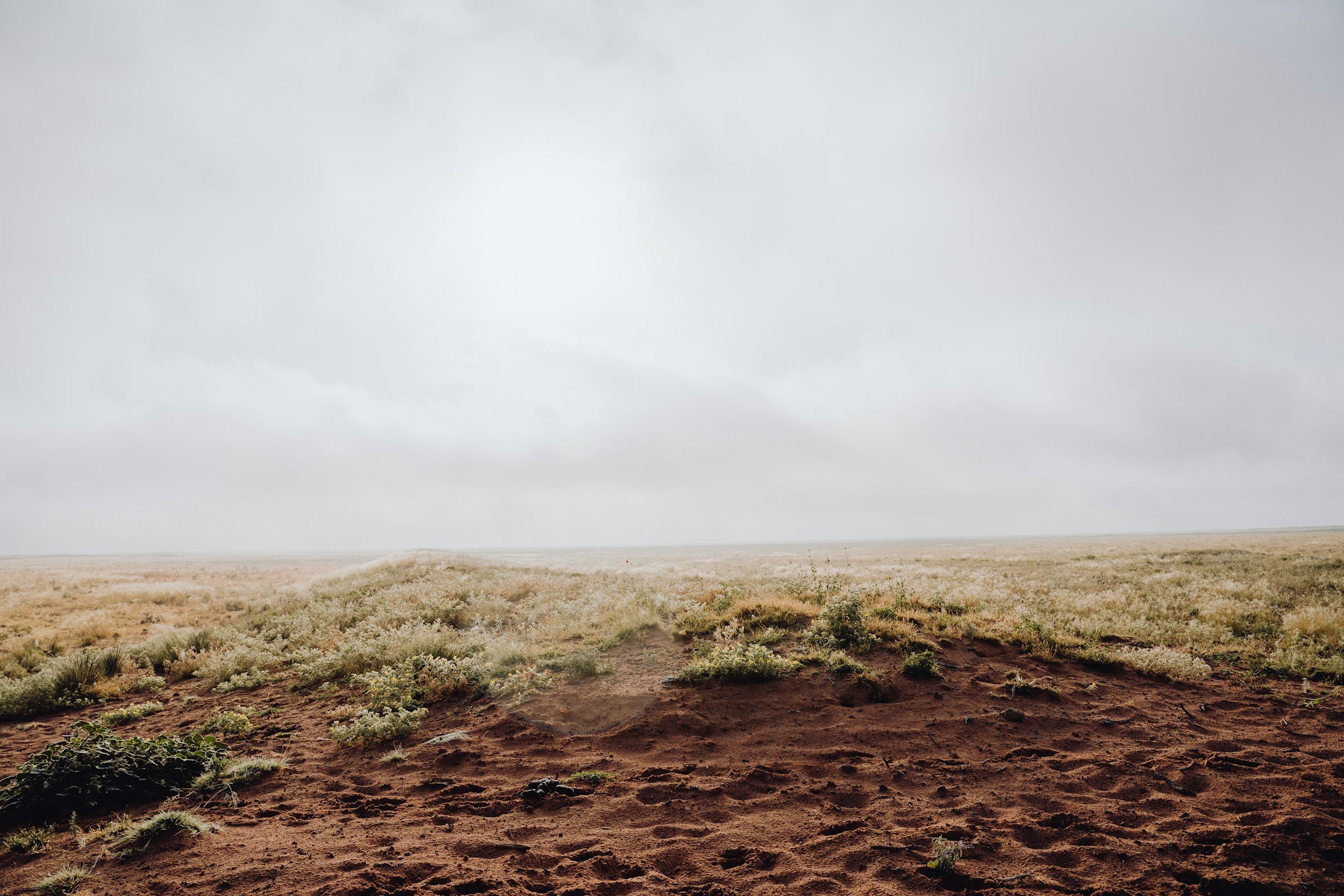 A vast, open desert landscape with reddish soil in the foreground, sparse shrubs in the middle ground, and a cloudy, overcast sky overhead.