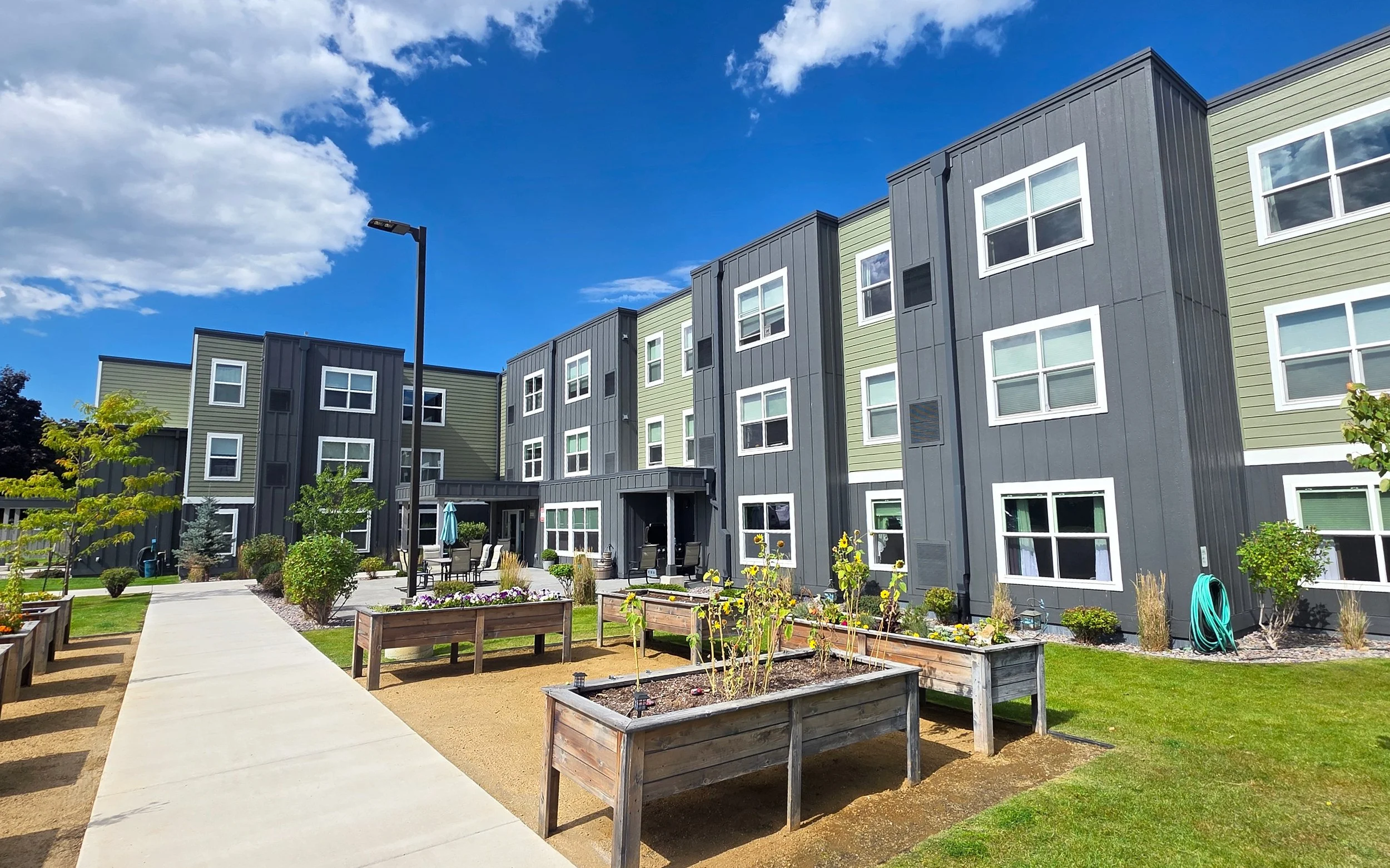A walkway and raised wooden garden beds with sunflowers in front of a three-story apartment building with green and dark gray siding, under a blue sky with white clouds.
