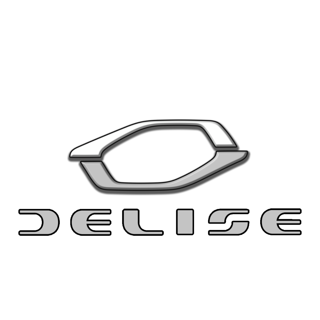 Logo of Delise, a stylized car outline above the text 'DELise' in metallic font.
