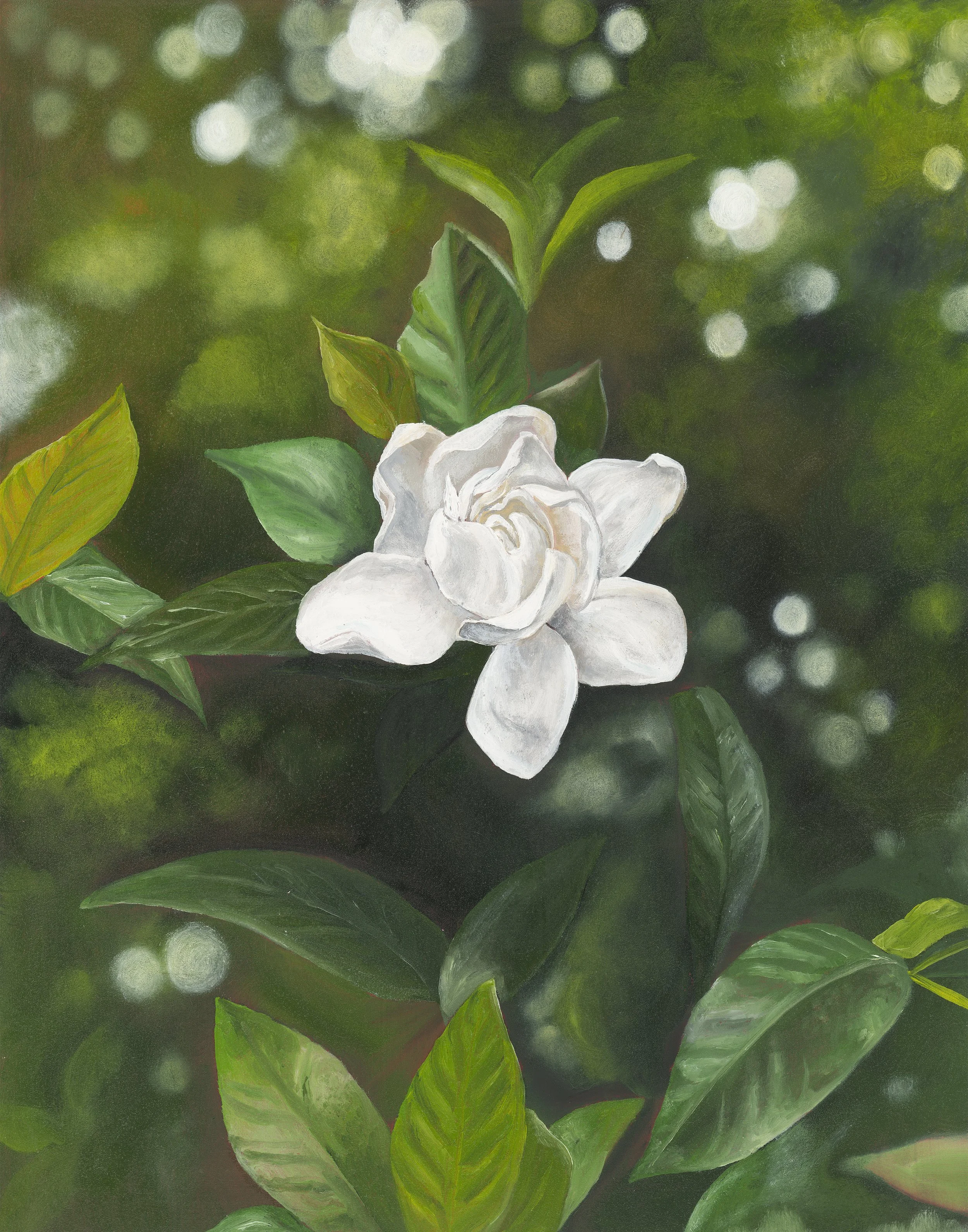 Gardenia 11x14 300dpi.jpg