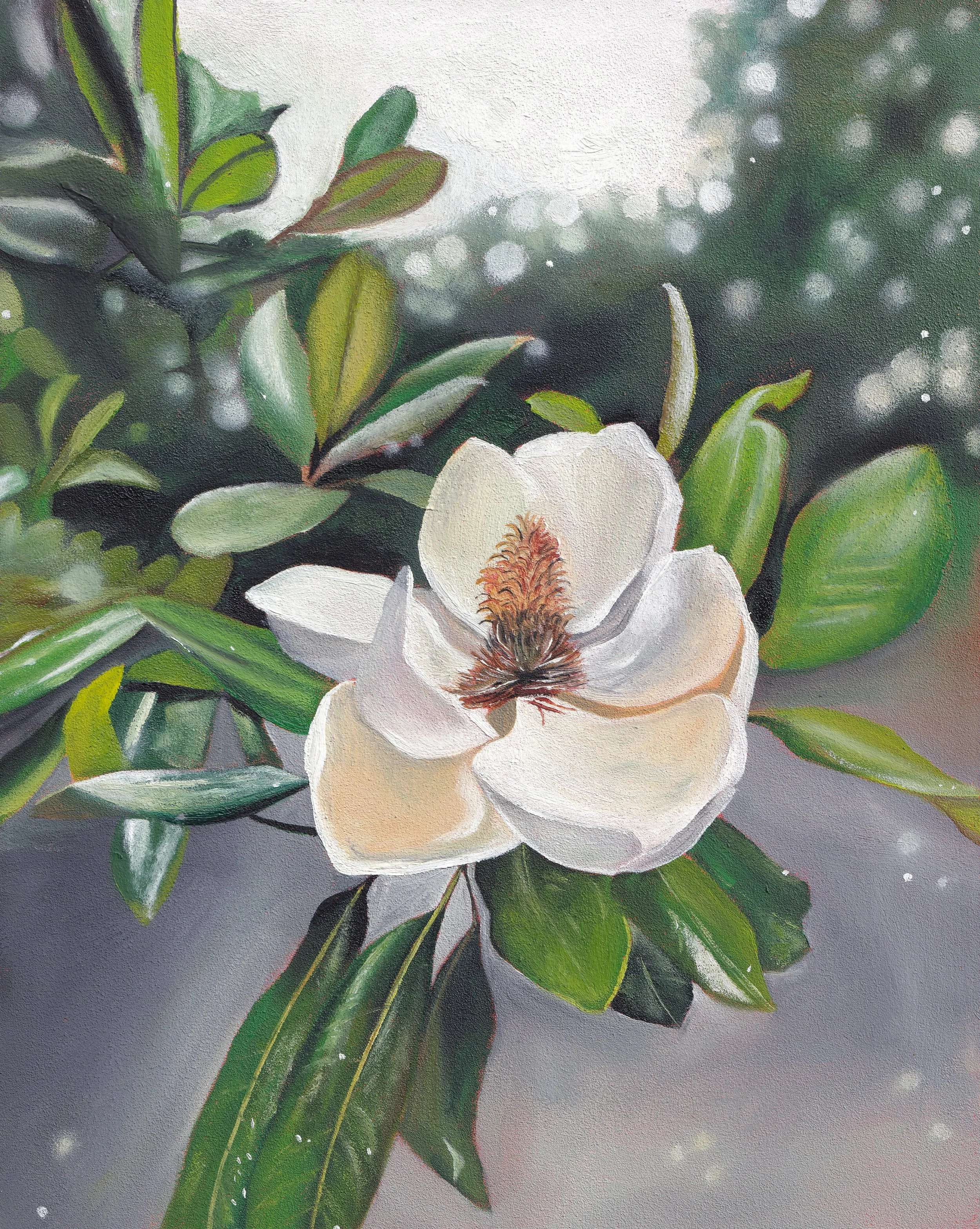 "Magnolia" 8x10 Oil