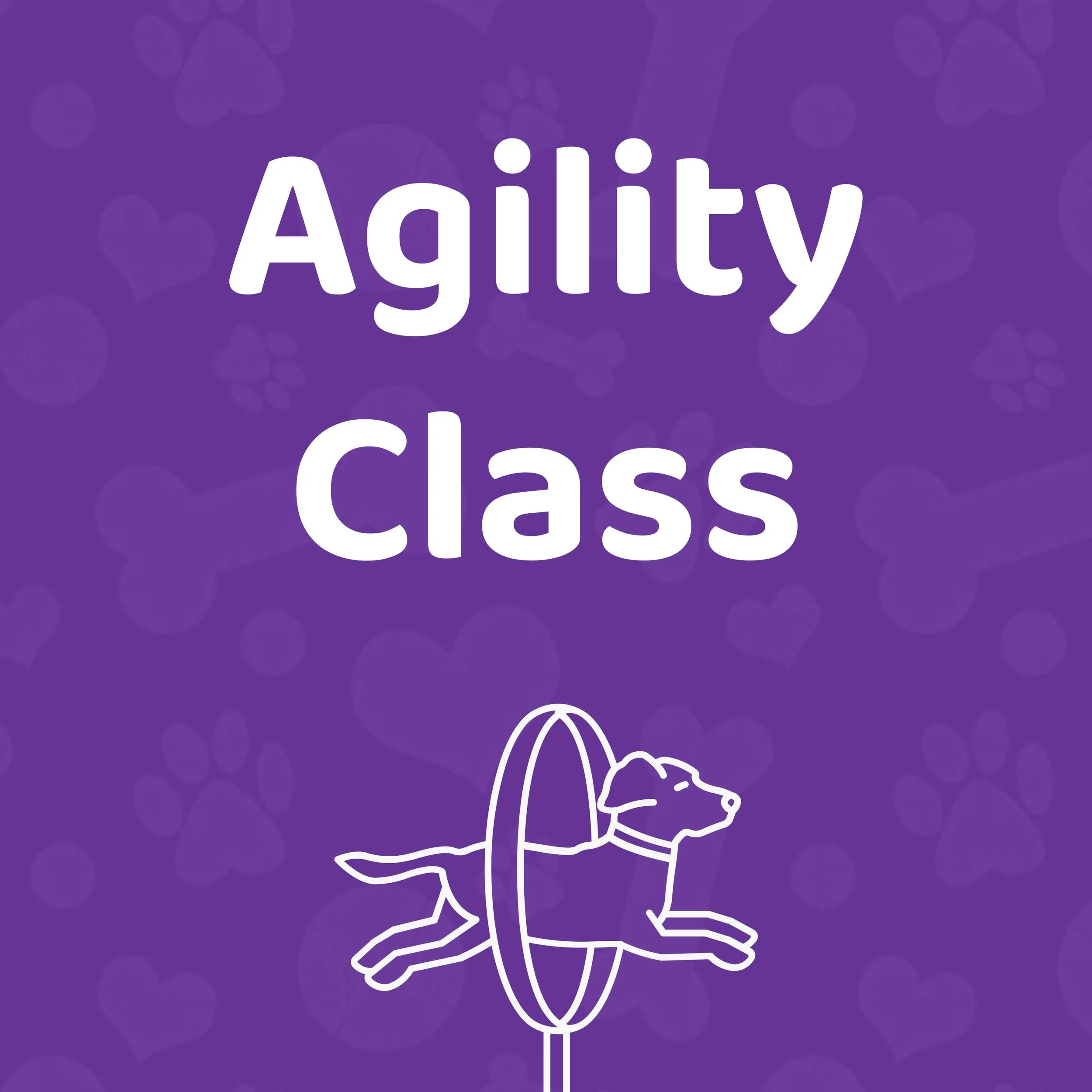 Agility Class