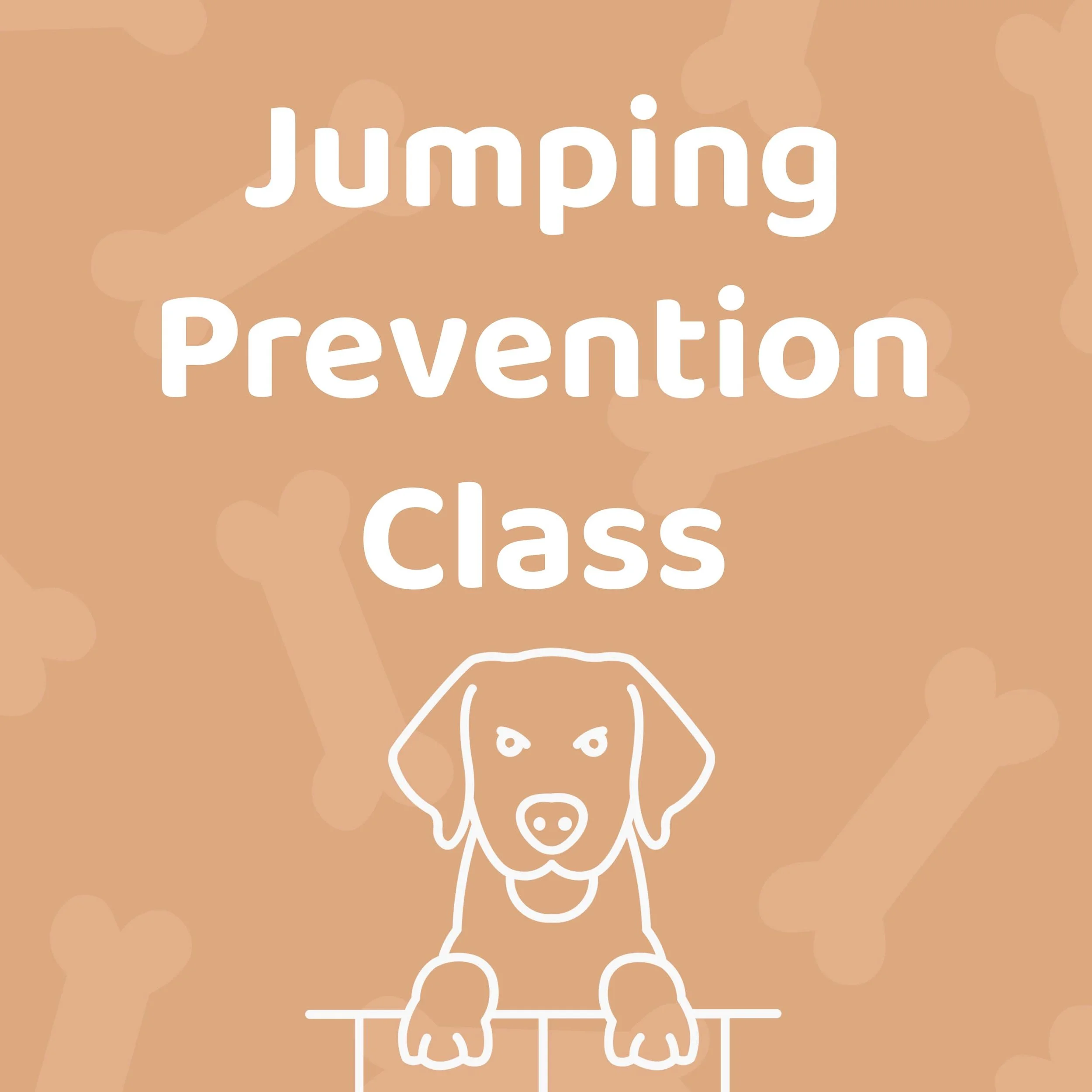 Jumping Prevention Class