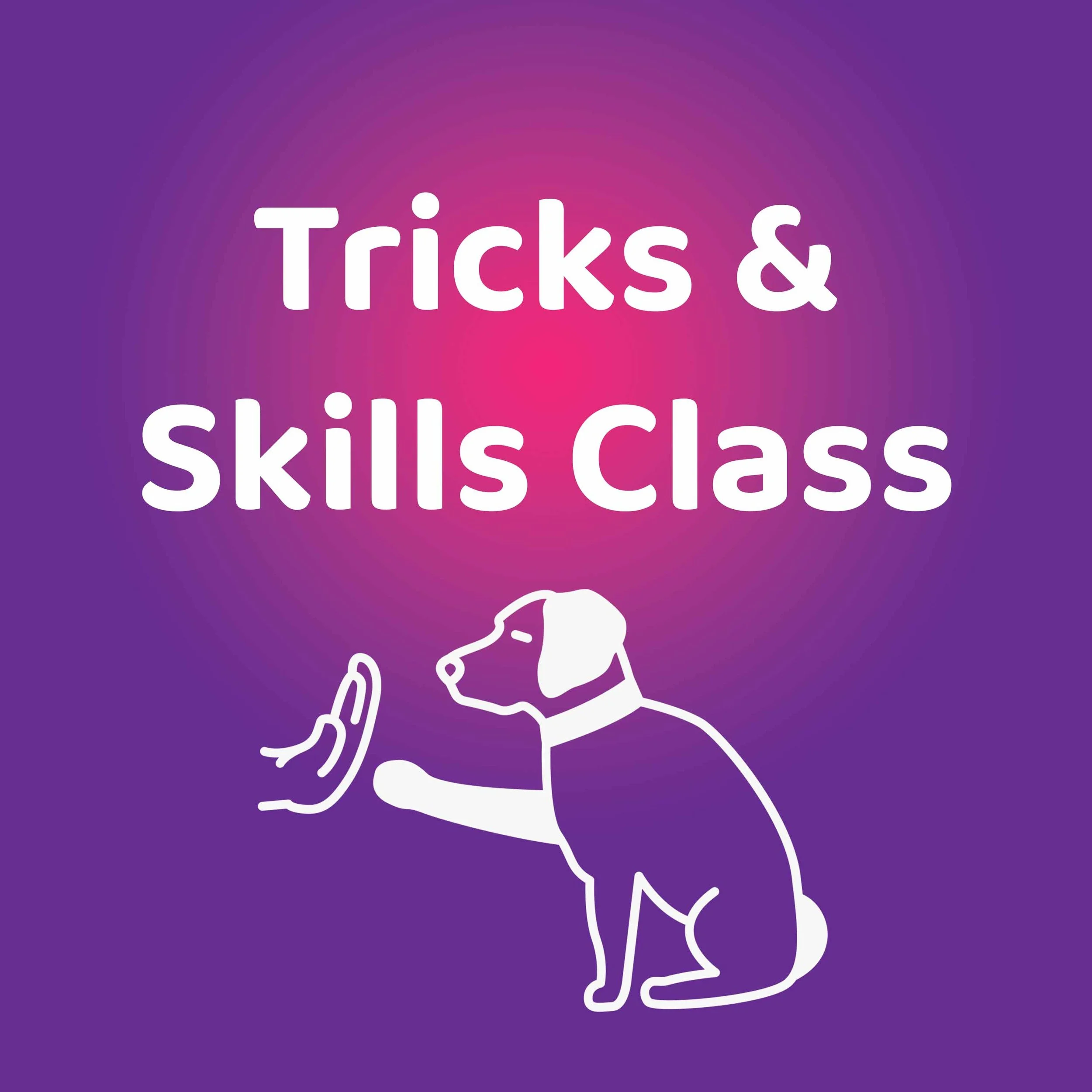 Tricks and Skills Class