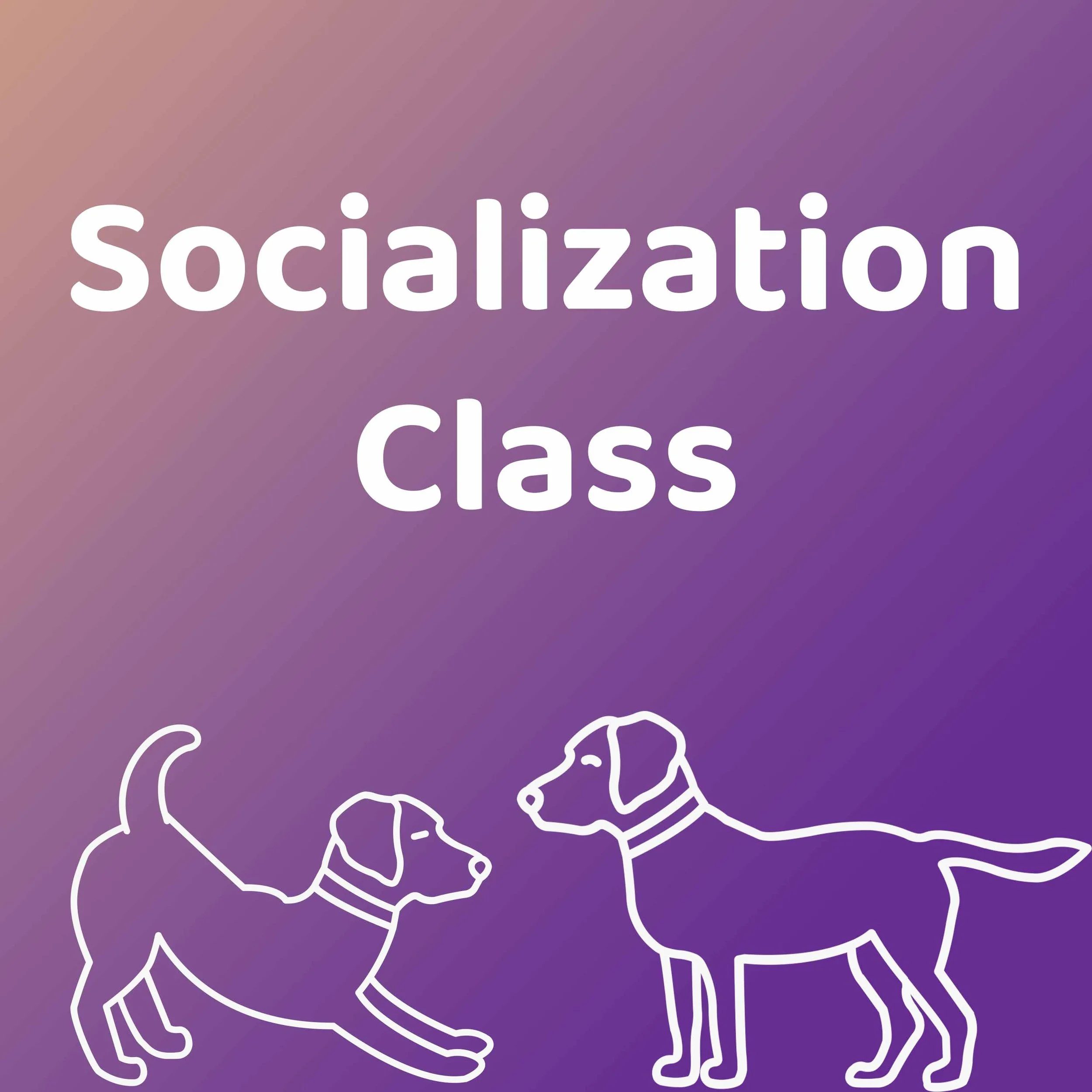 Socialization and Play