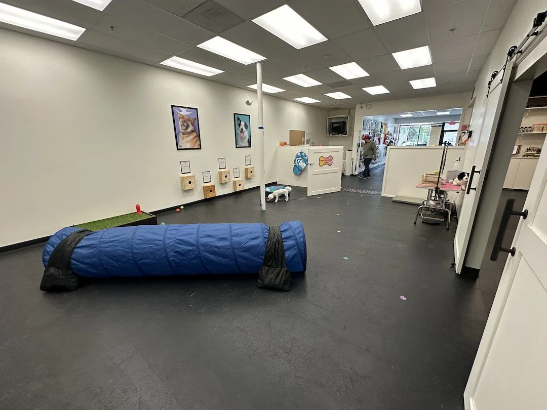 Interior of a dog training or play area with agility tunnel, small raised platform, colorful toys, framed pictures of dogs on the wall, and a person in the background near the entrance.