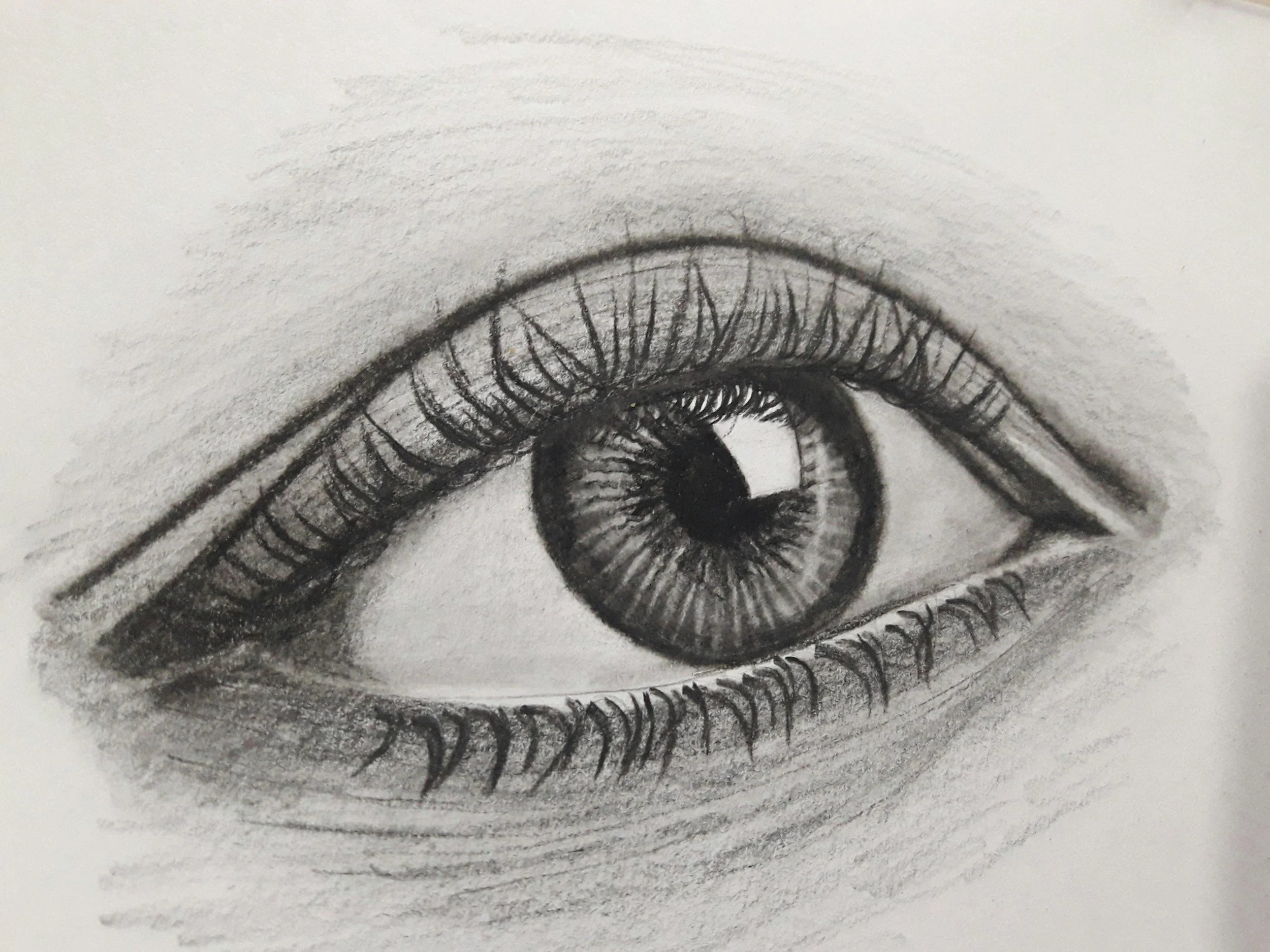 Portrait Painting Foundations: Drawing &amp; Observation with Bonnie Dhein