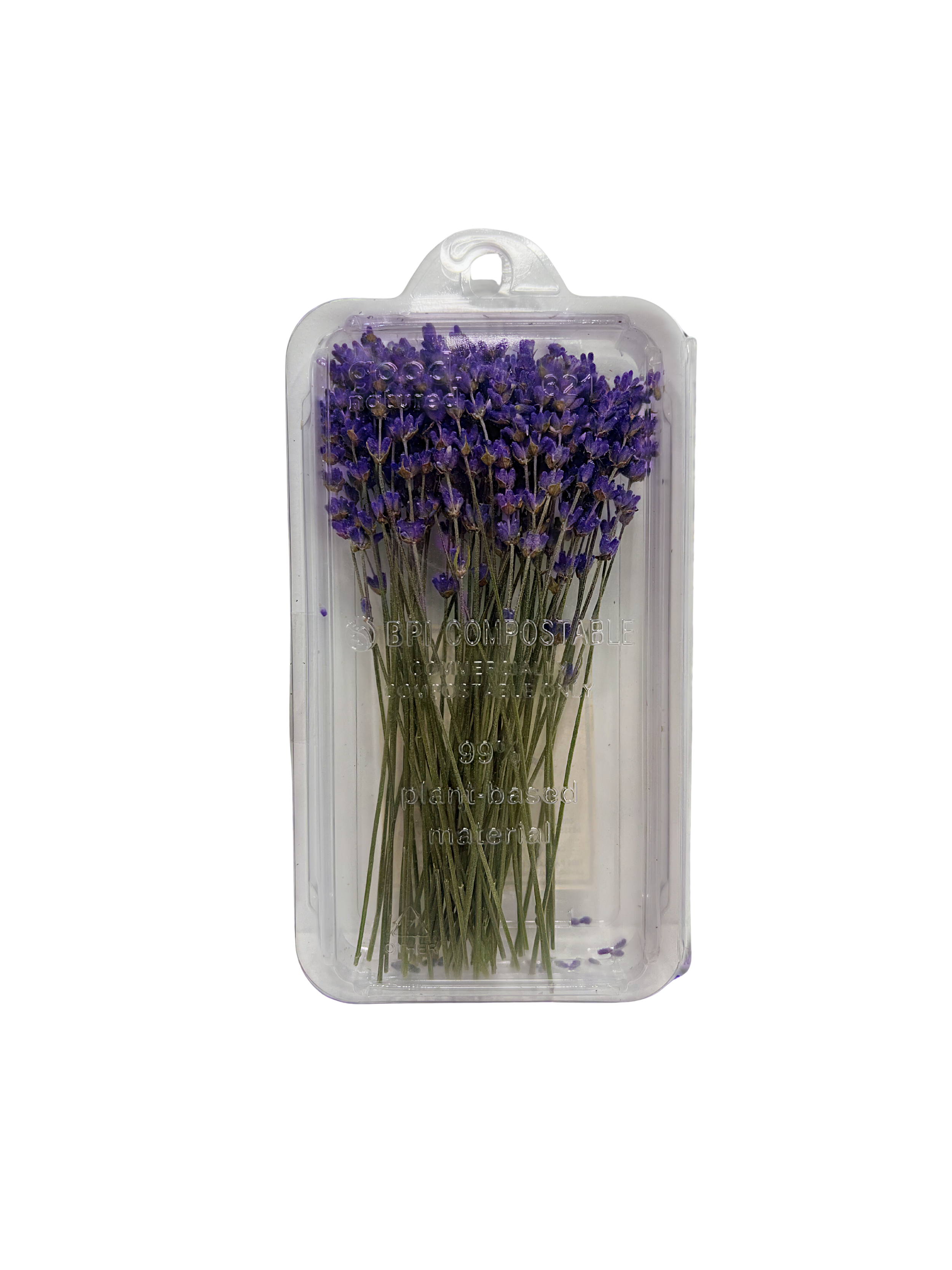 Untitled design (19).png