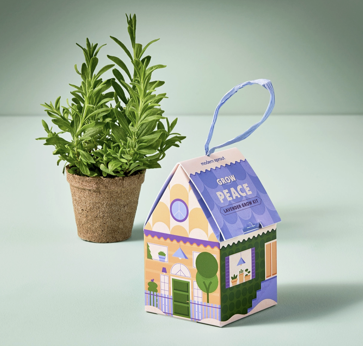 Grow Peace (Lavender) Grow Kit