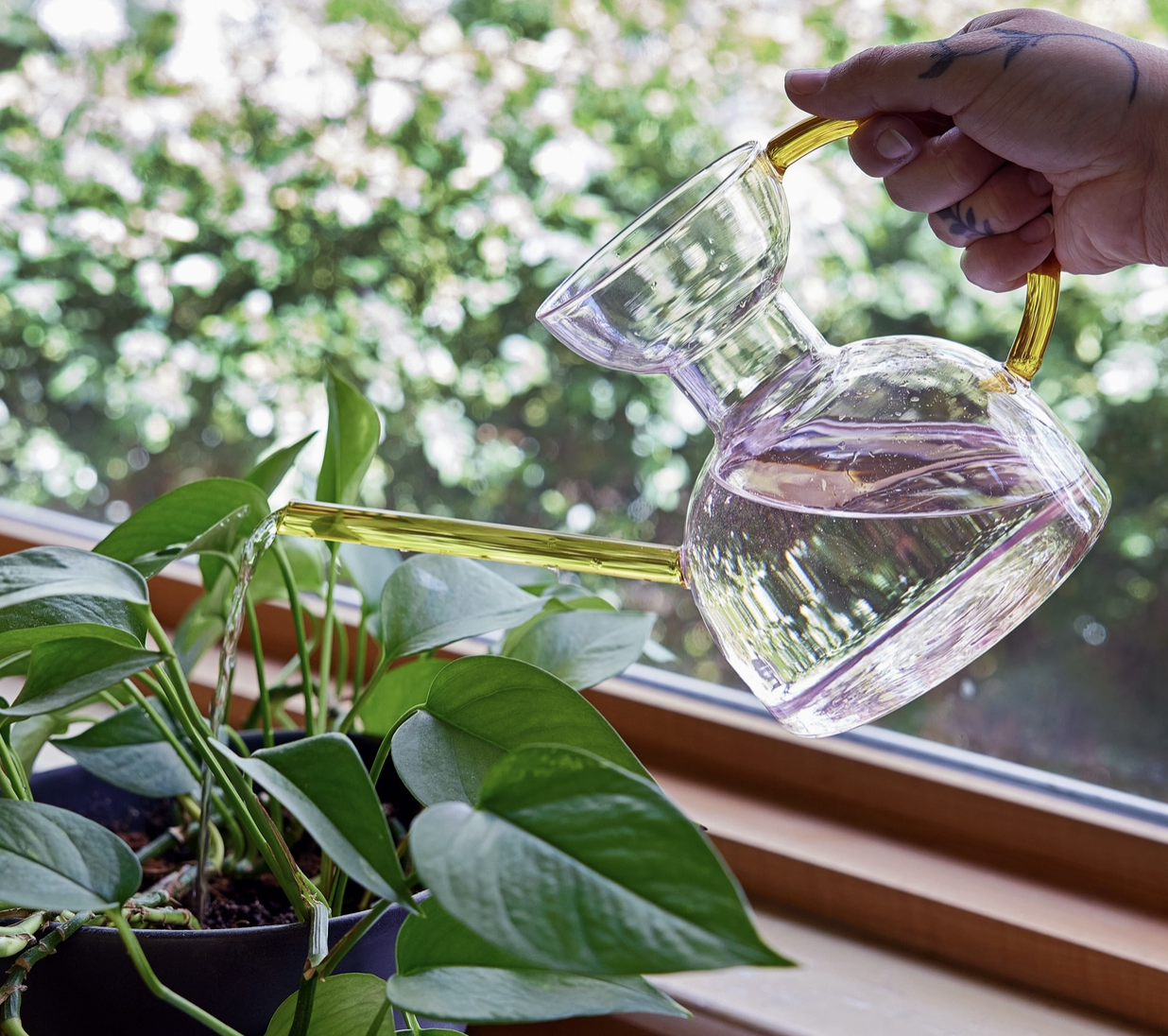 Modern Sprout Glass Watering Can