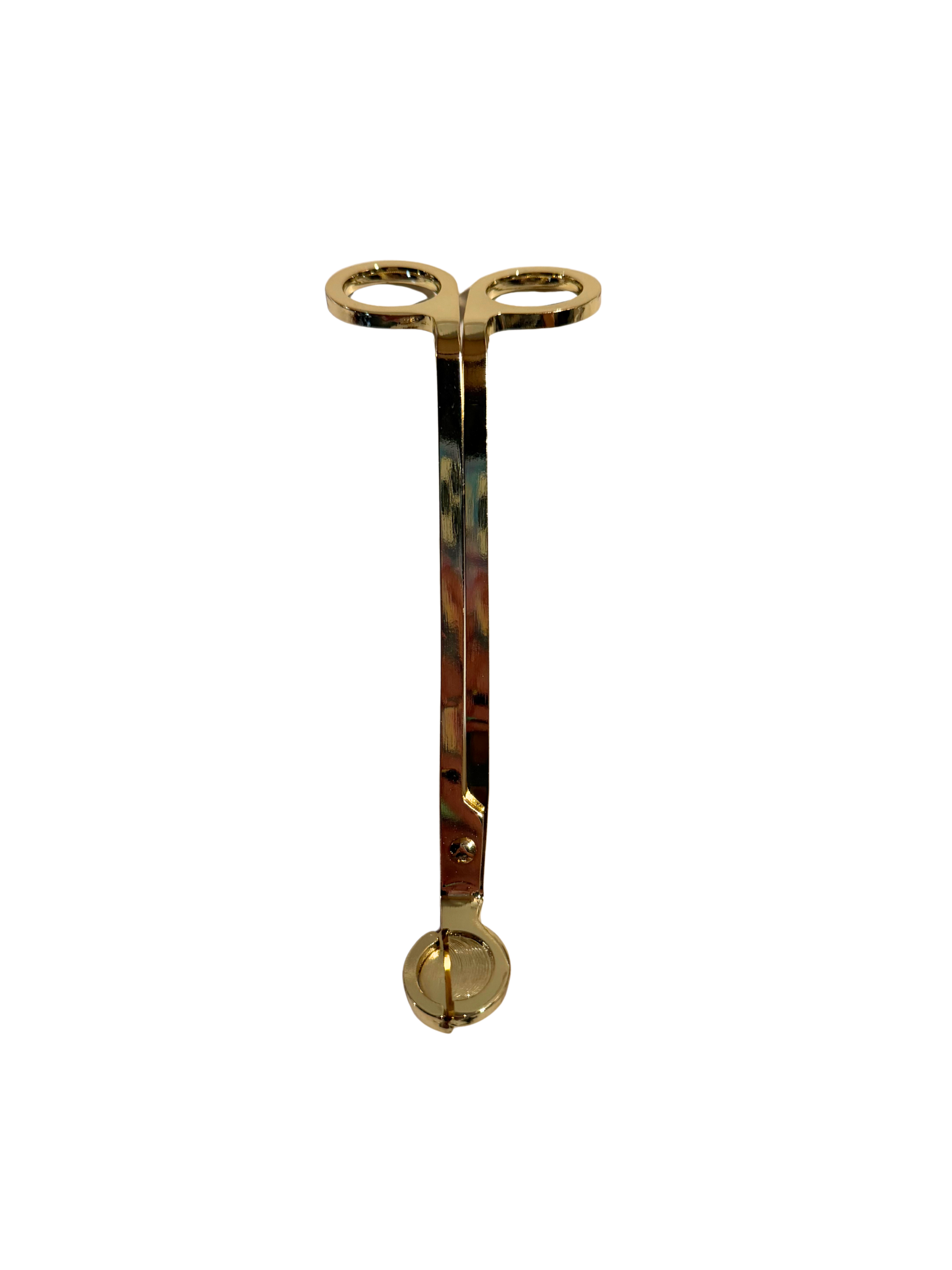 Untitled design (19).png