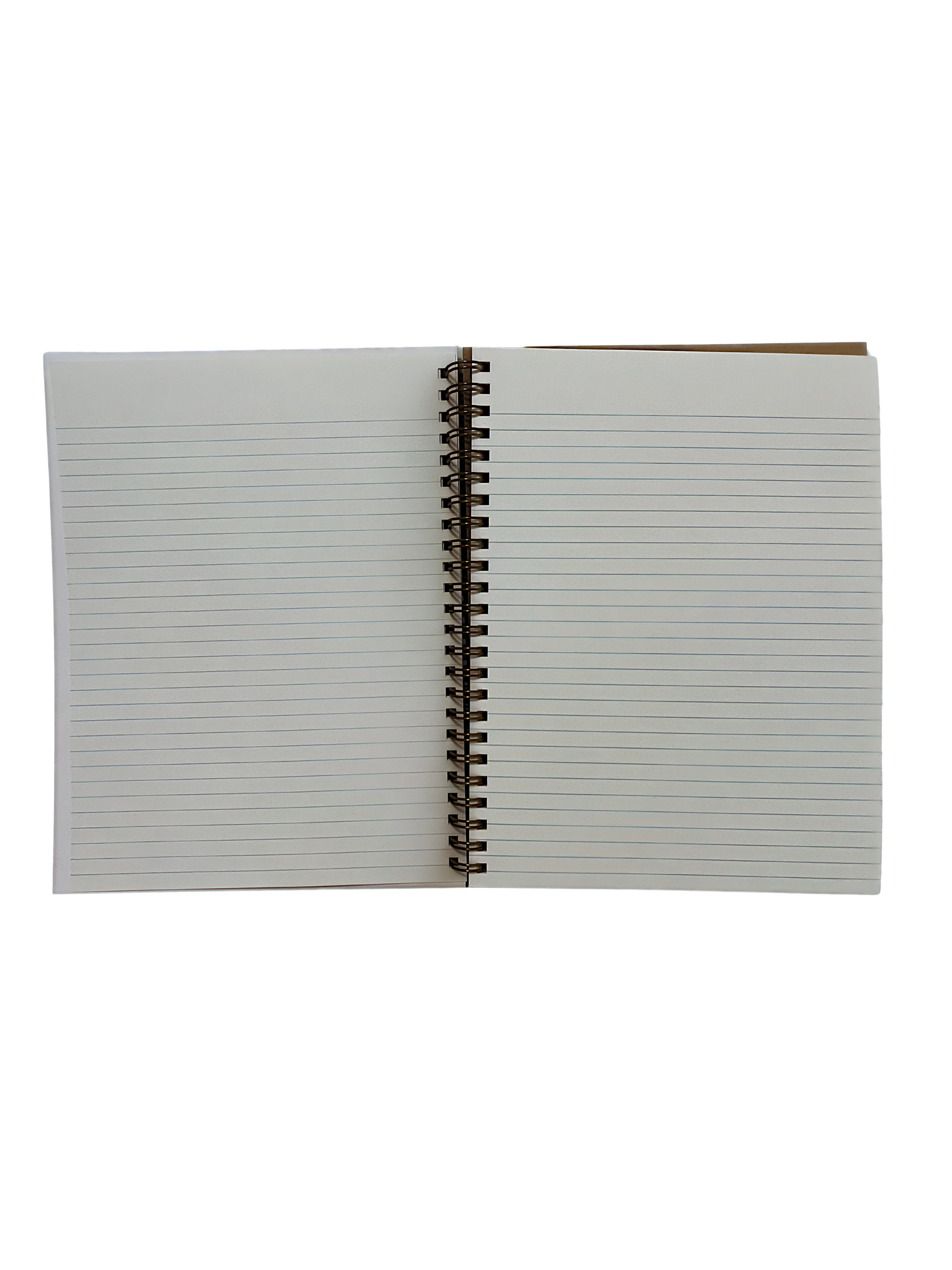 Untitled design (33).png