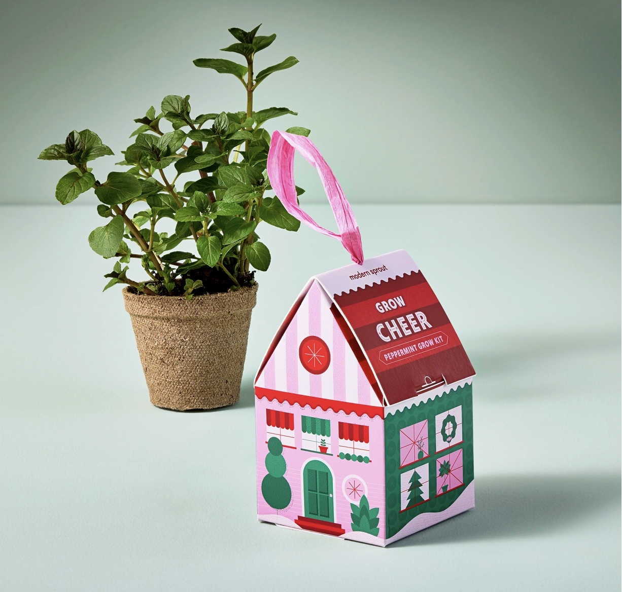 Grow Cheer (Peppermint) Grow Kit