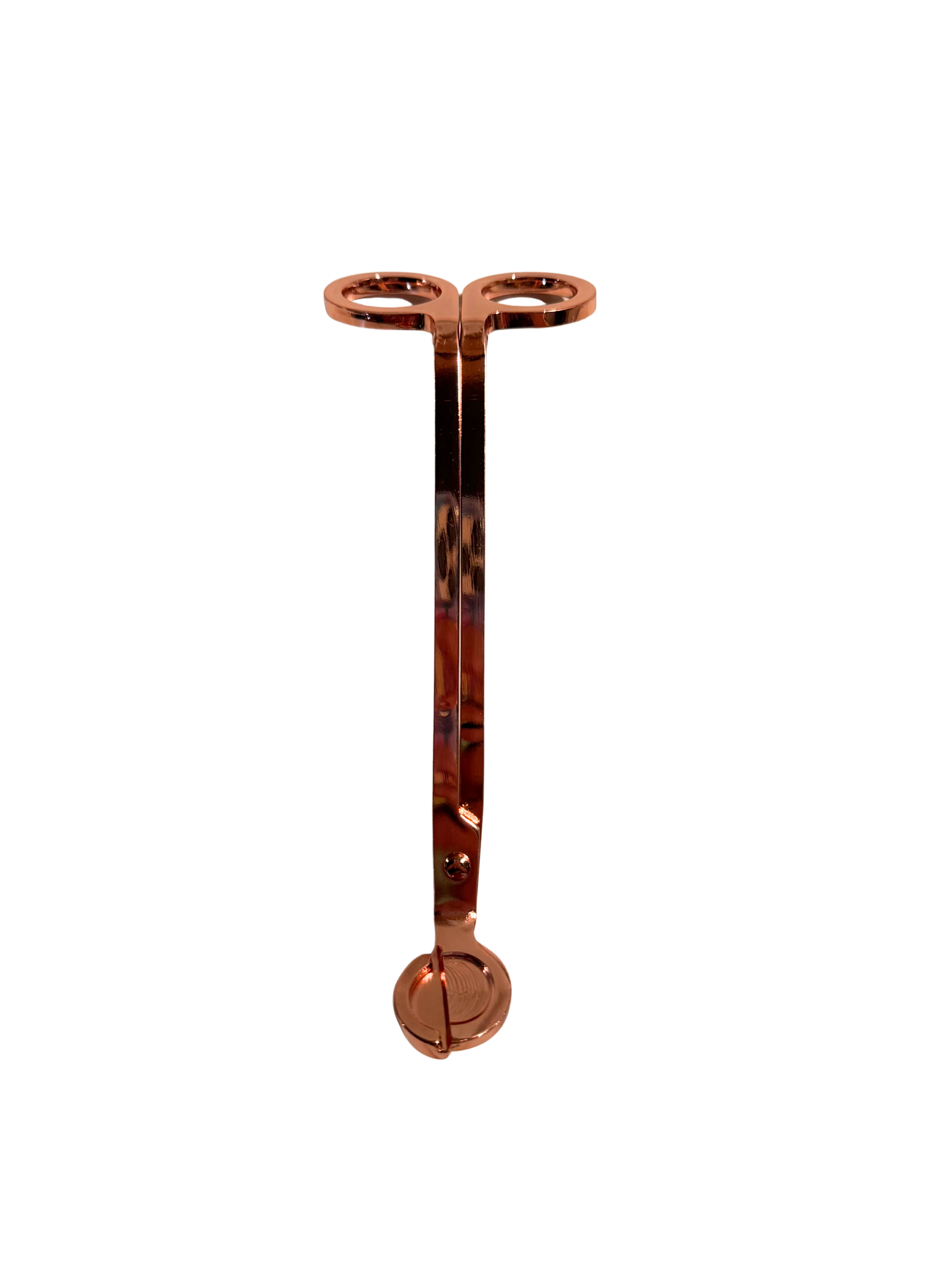 Untitled design (20).png