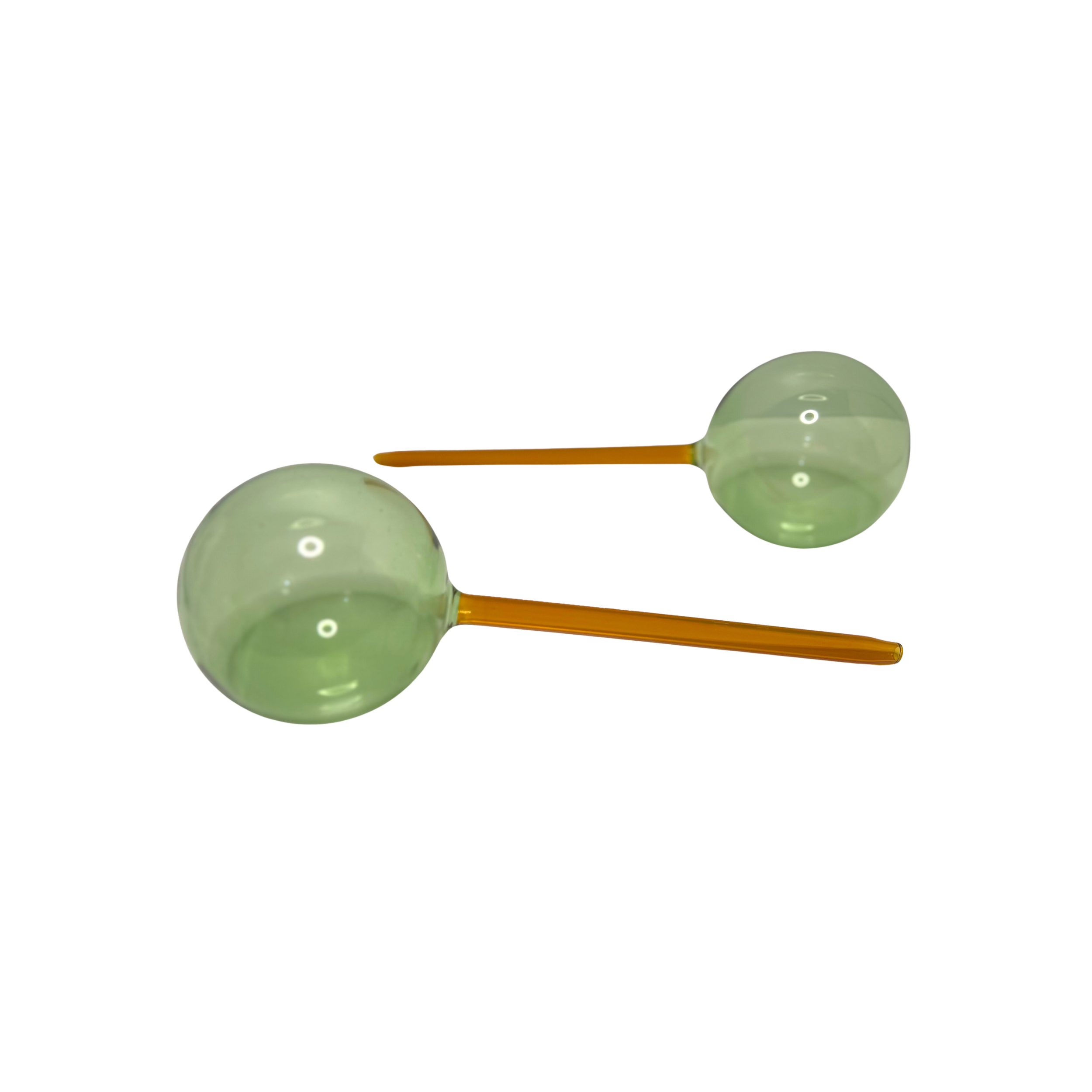 We The Wild - Self Watering Plant Globes