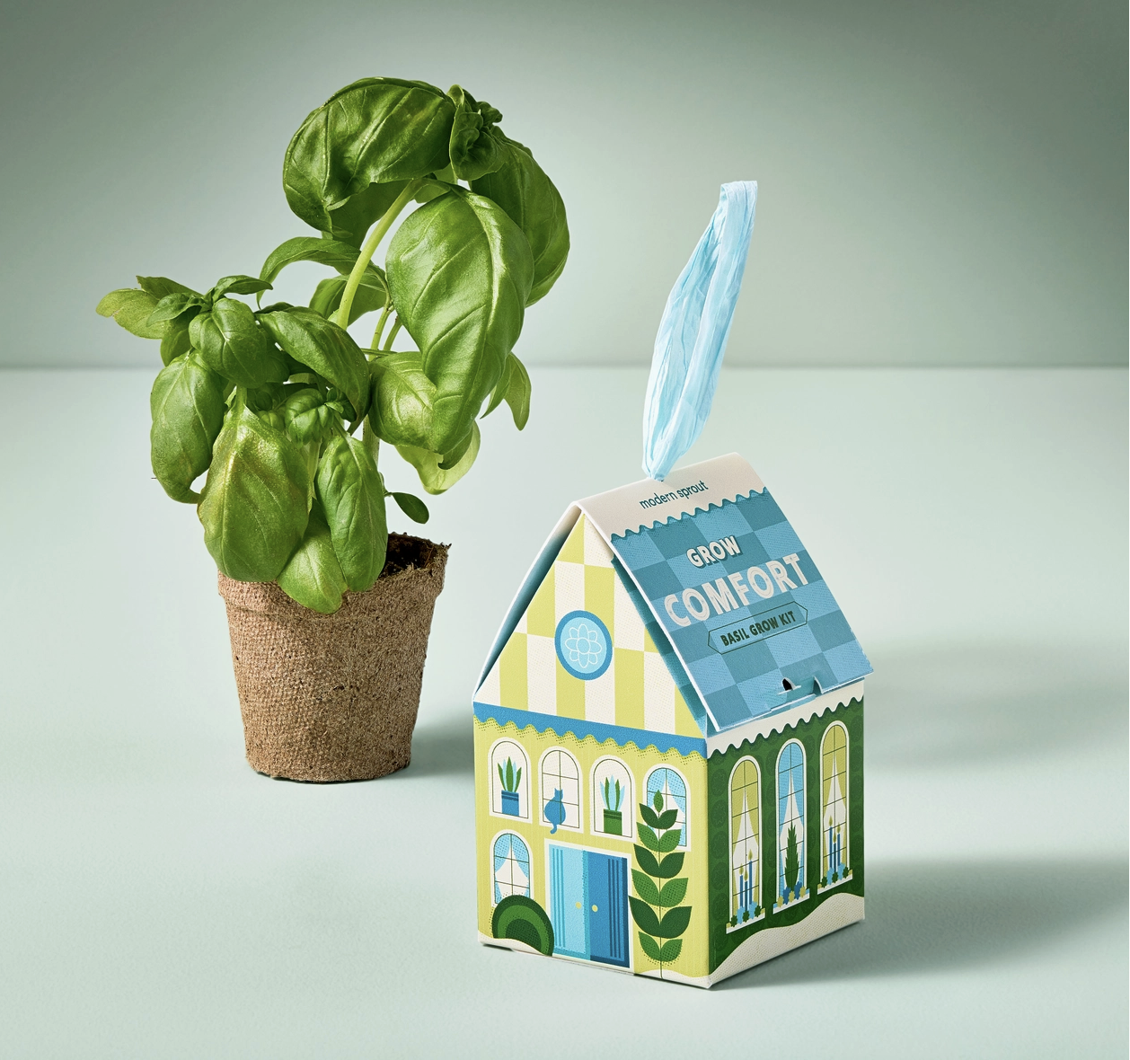 Grow Comfort (Basil) Grow Kit