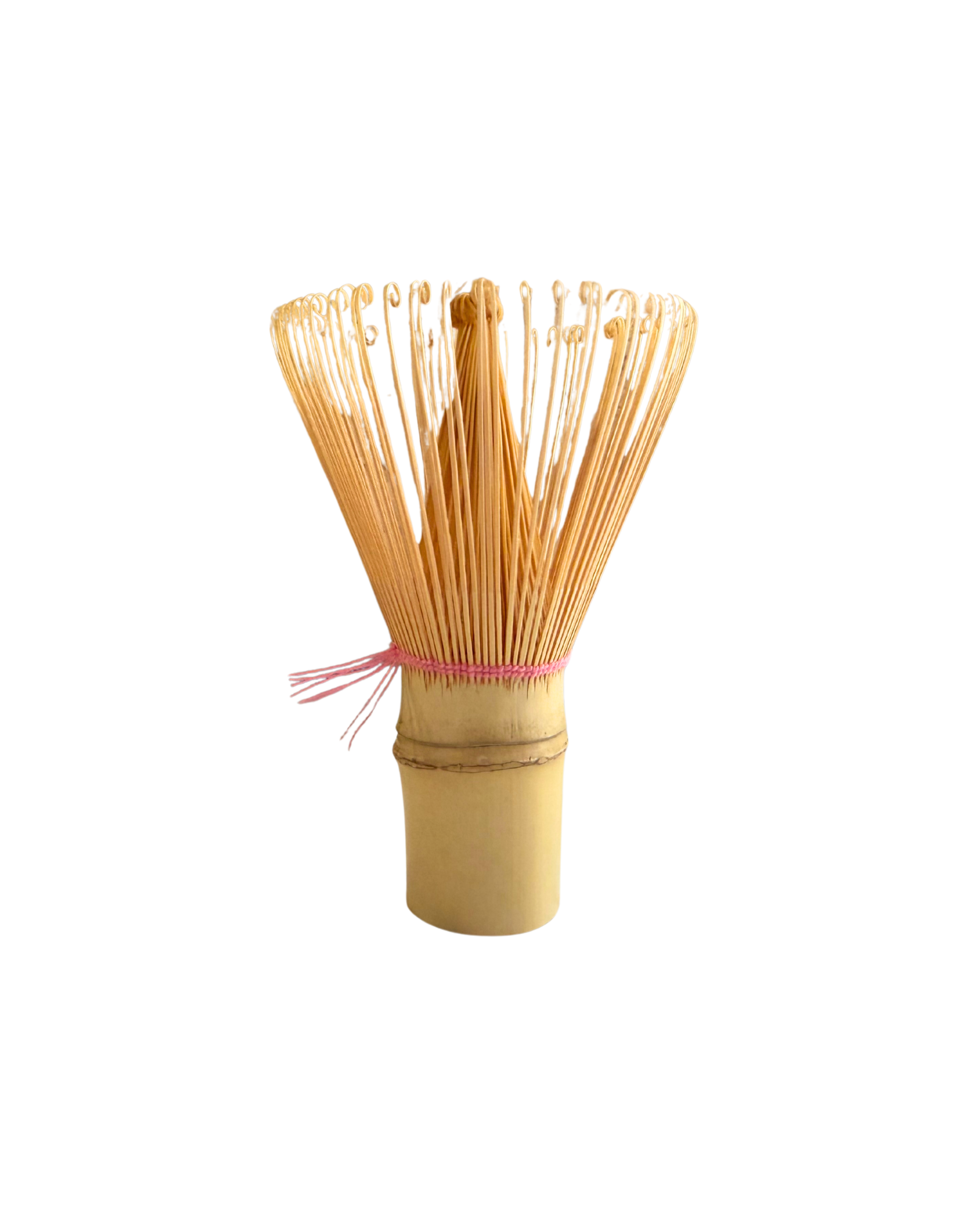 Untitled design (24).png