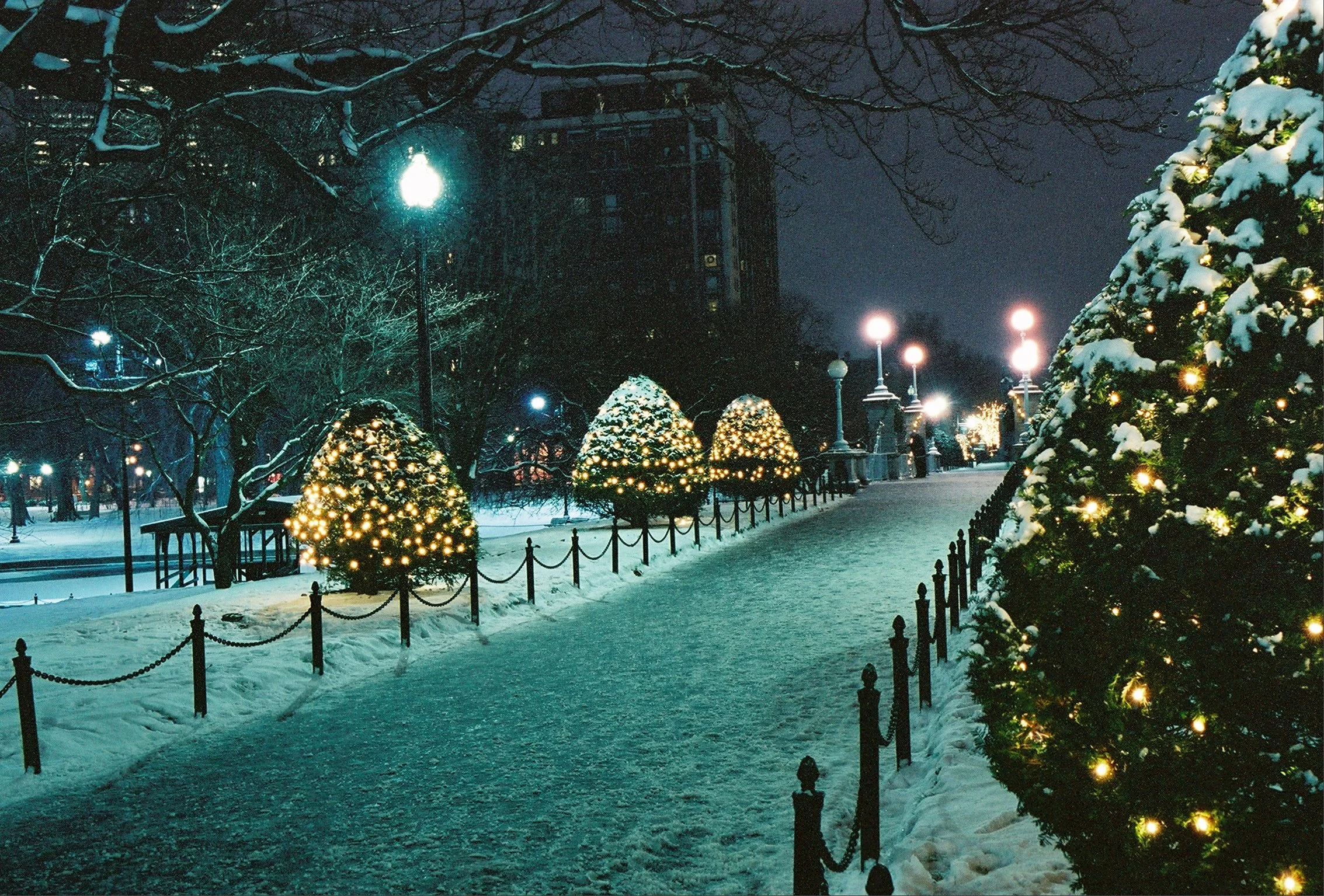 The Holiday Season at The Boston Public Gardens.jpg