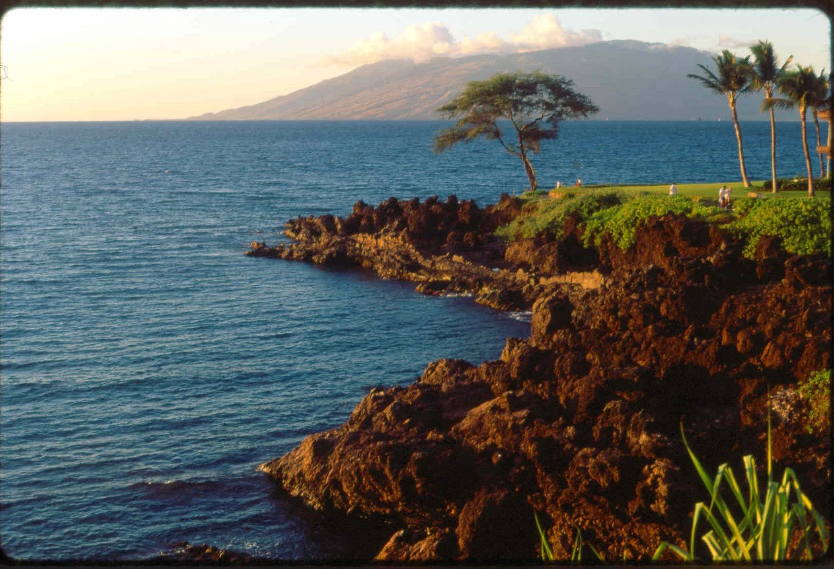 maui.jpg