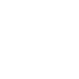 Corporate and organizational events icon