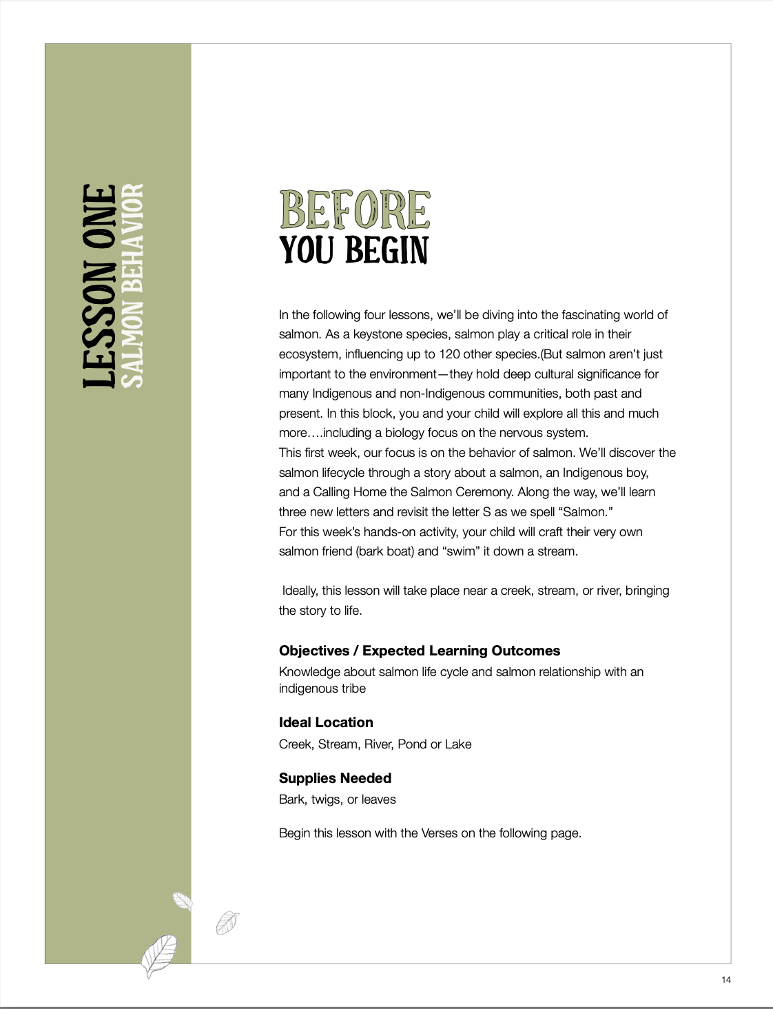 Salmon lesson cover.png