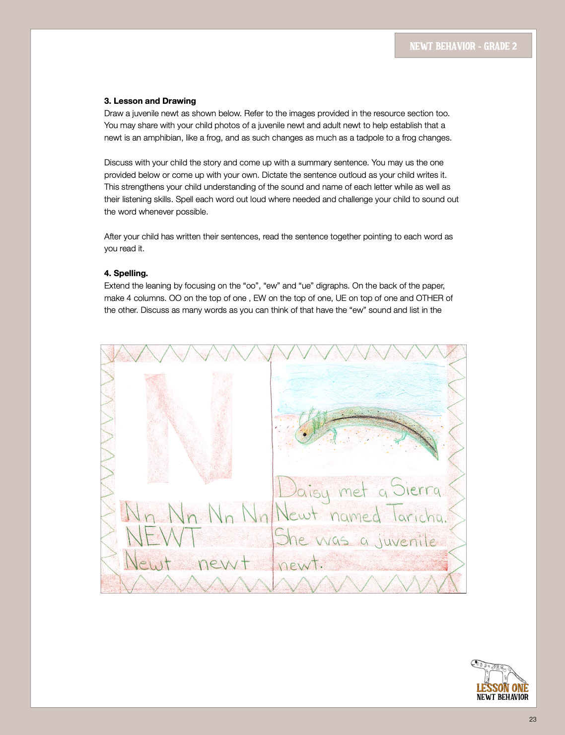 Newt gr 2 lesson.png