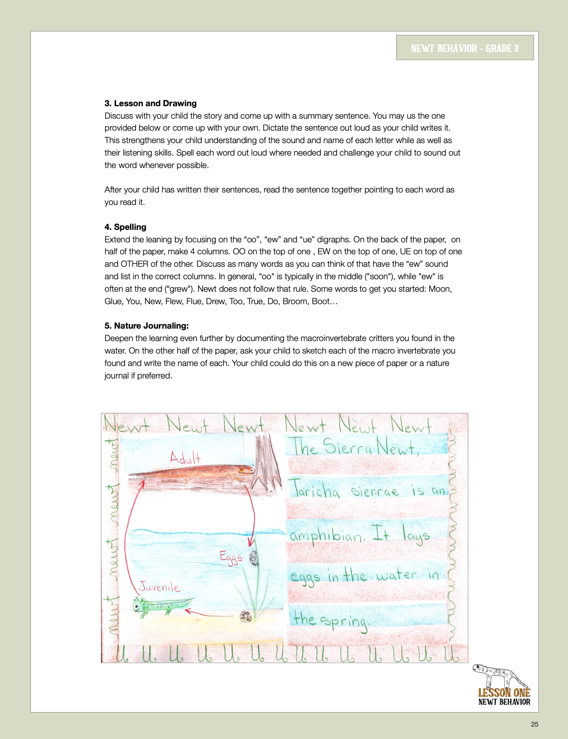 Newt gr 3 lesson.png