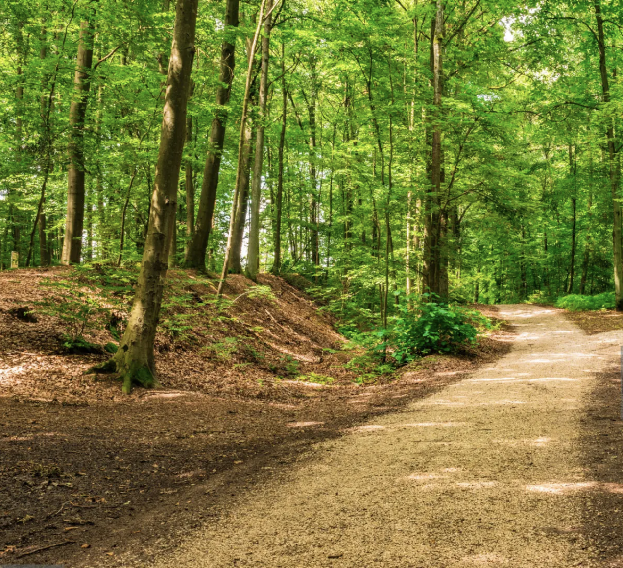 Why I Write: For Power, For Peace, For the Plot Twist