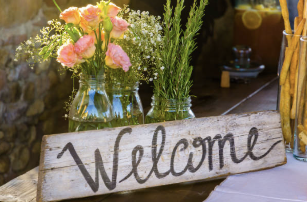 Welcome to The Bloom Room 🌸