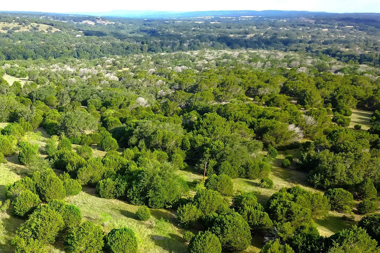 Floresville 50 acre Ranch