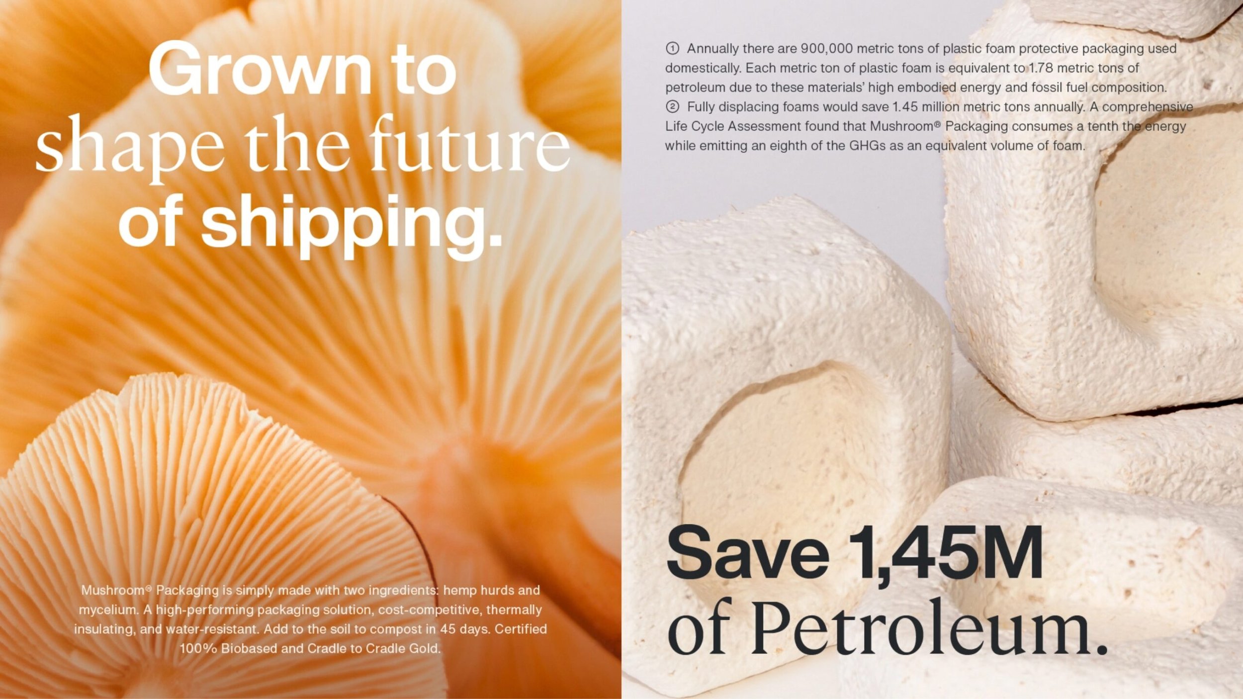 mushroompackagaing-branding-11-1@2x-scaled.jpg