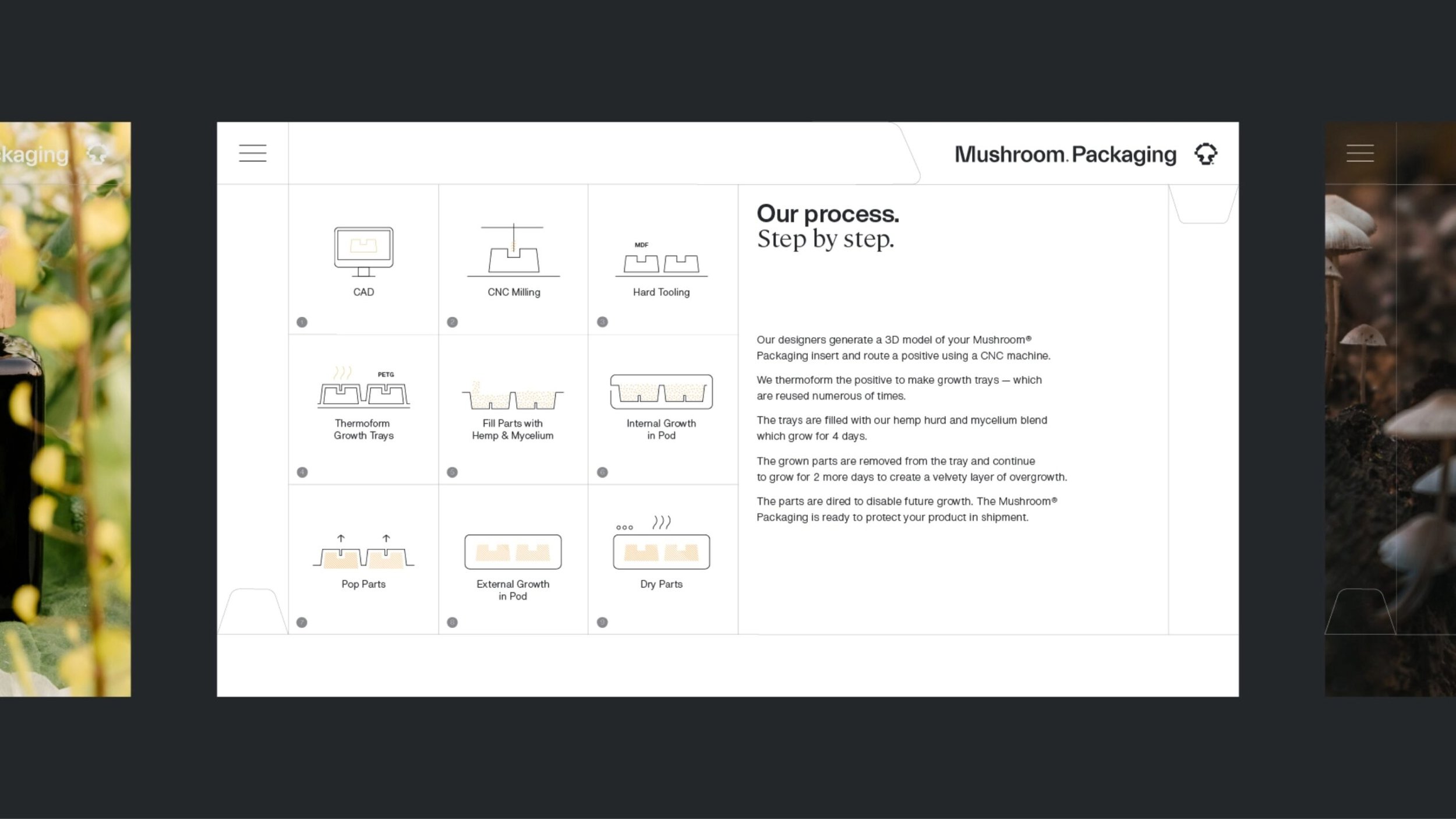 mushroompackagaing-branding-16@2x-scaled.jpg
