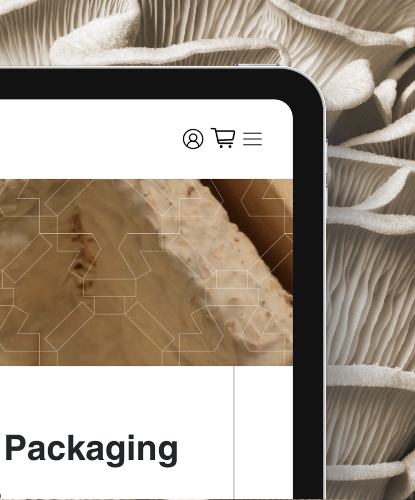 mushroompackaing-web-tablet-detail@2x.jpg