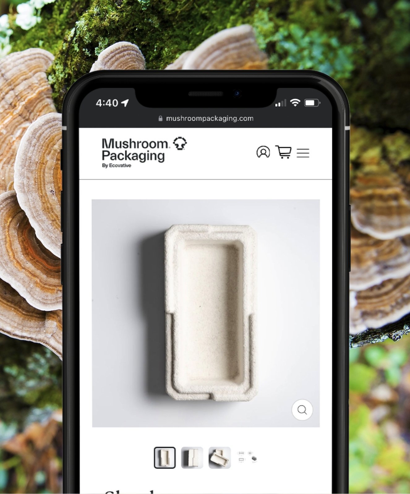 mushroompackaing-web-mobile-detail@2x.jpg