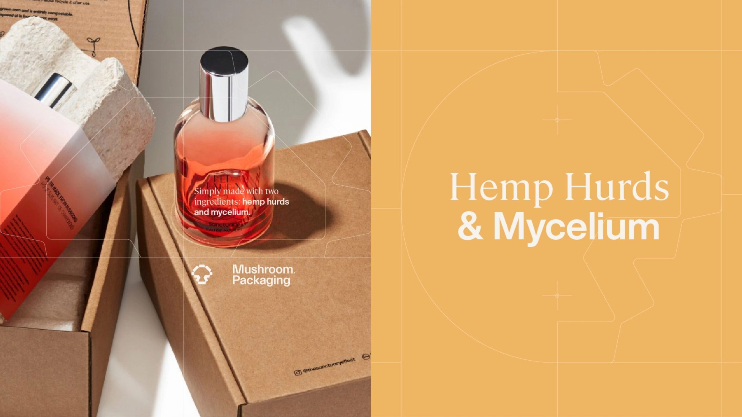 mushroompackagaing-branding-12@2x-scaled.jpg