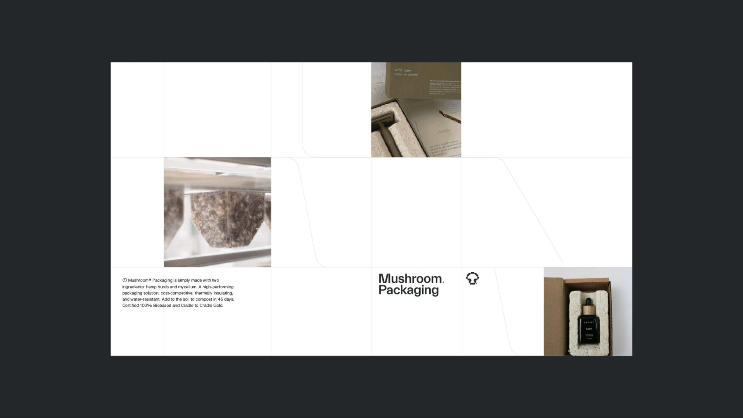 mushroompackagaing-branding-15@2x-scaled.jpg