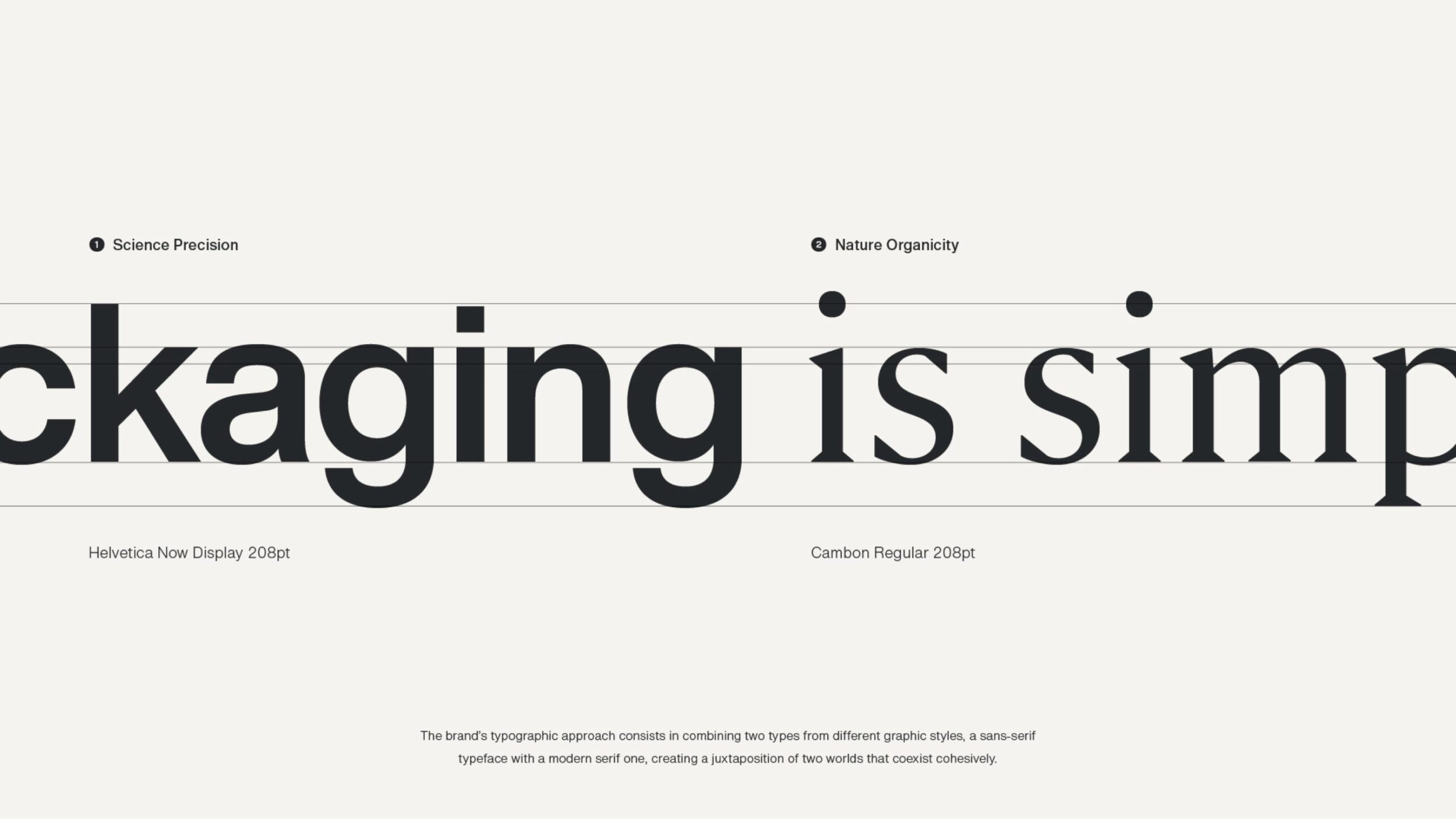 mushroompackagaing-branding-08@2x-scaled.jpg