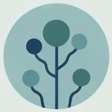 Accompagnement du stress, de l’anxiété, des tensions chroniques