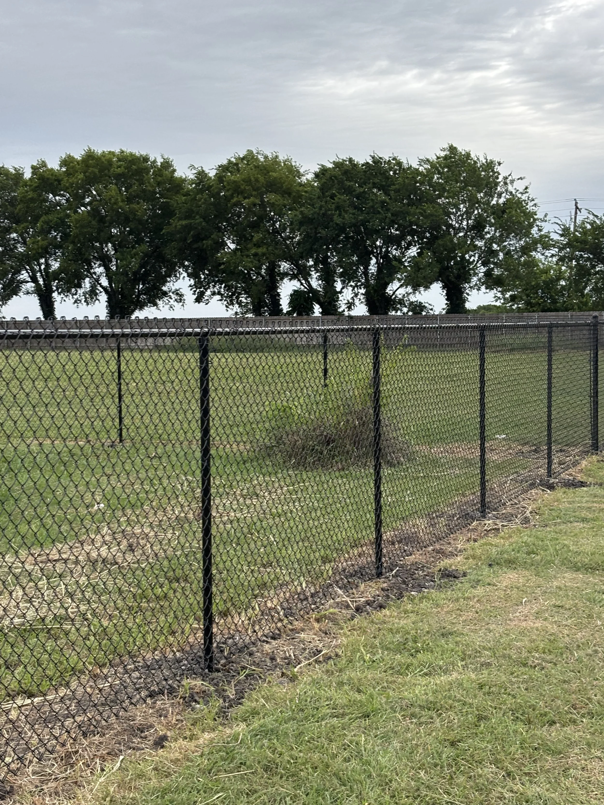 A chain-link fence running along a grassy field with trees in the background and a cloudy sky overhead.