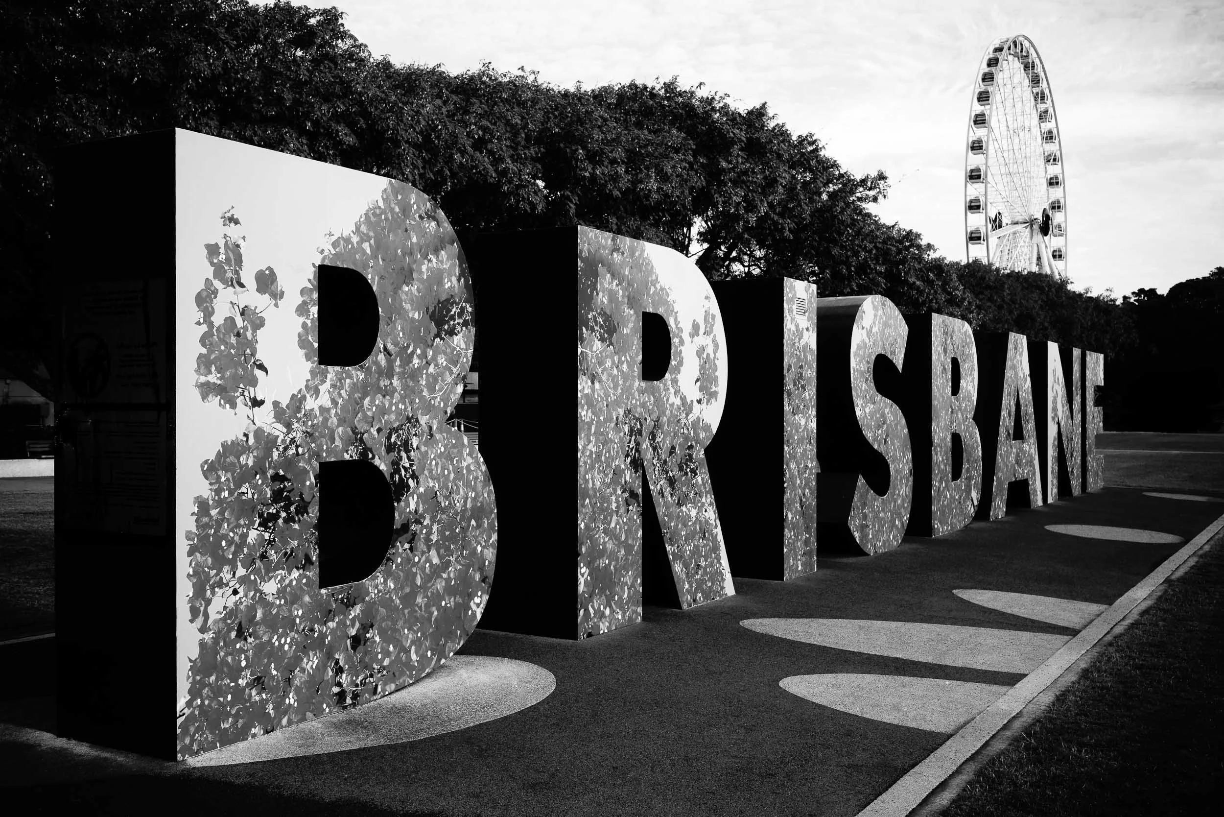 Finding Joy in the Familiar