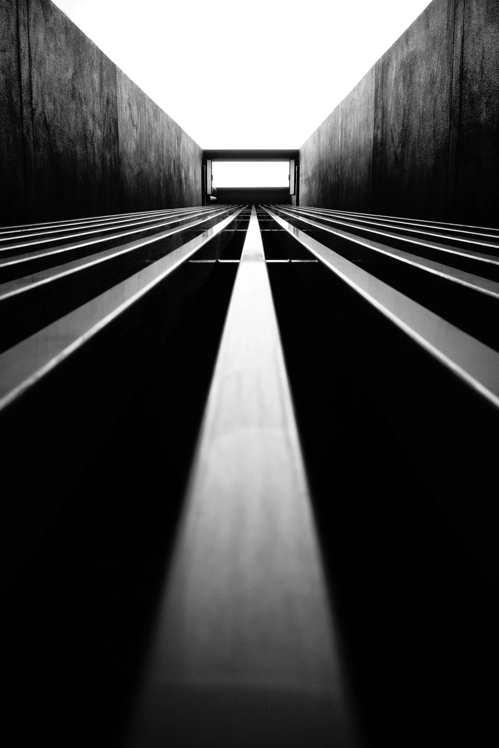 Reaching for Light: Even when held by imposing structures, a clear path gracefully ascends. This upward gaze profoundly reminds us that essential light and breakthroughs perpetually await, guiding our vision towards freedom and enduring hope.
